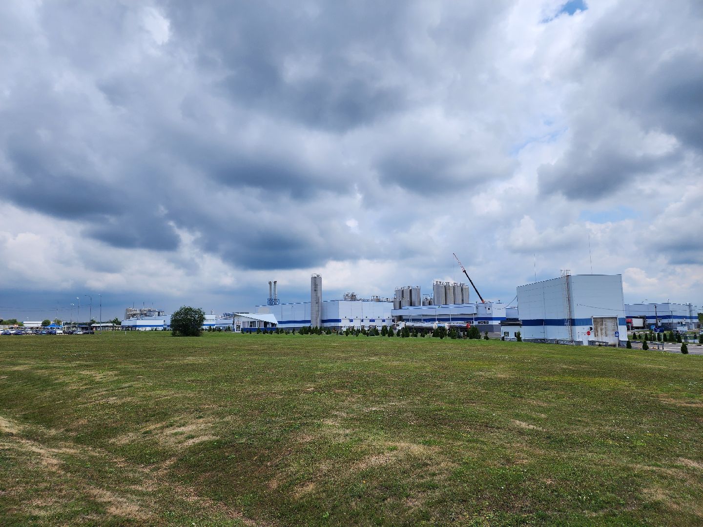 Чехов, поселок Любучаны, компания Health and Nutrition, завод, молочная продукция, качество, безопасность, контроль, проверка, тестирование, мониторинг,