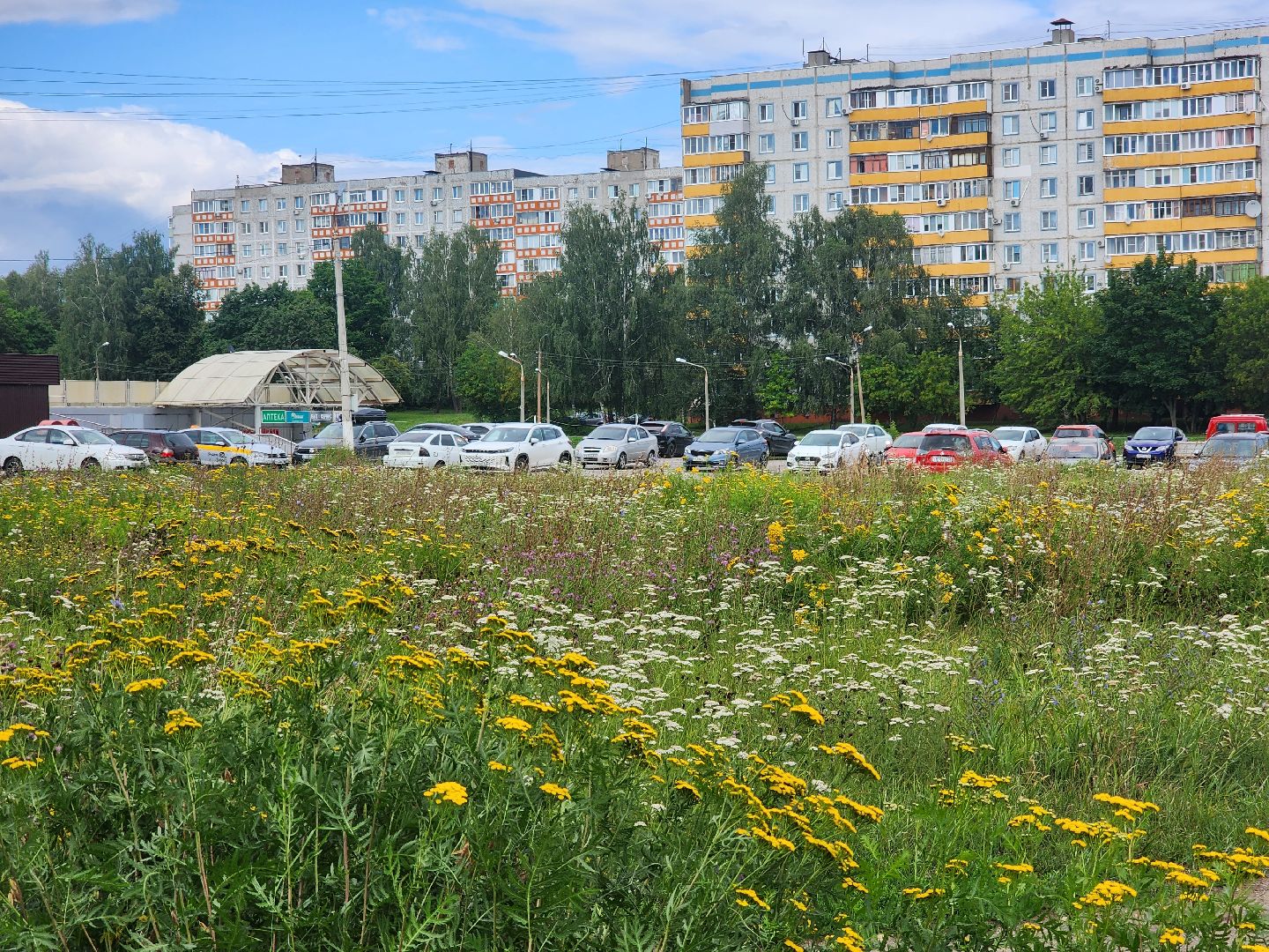 Коломна, выездная администрация, благоустойство,