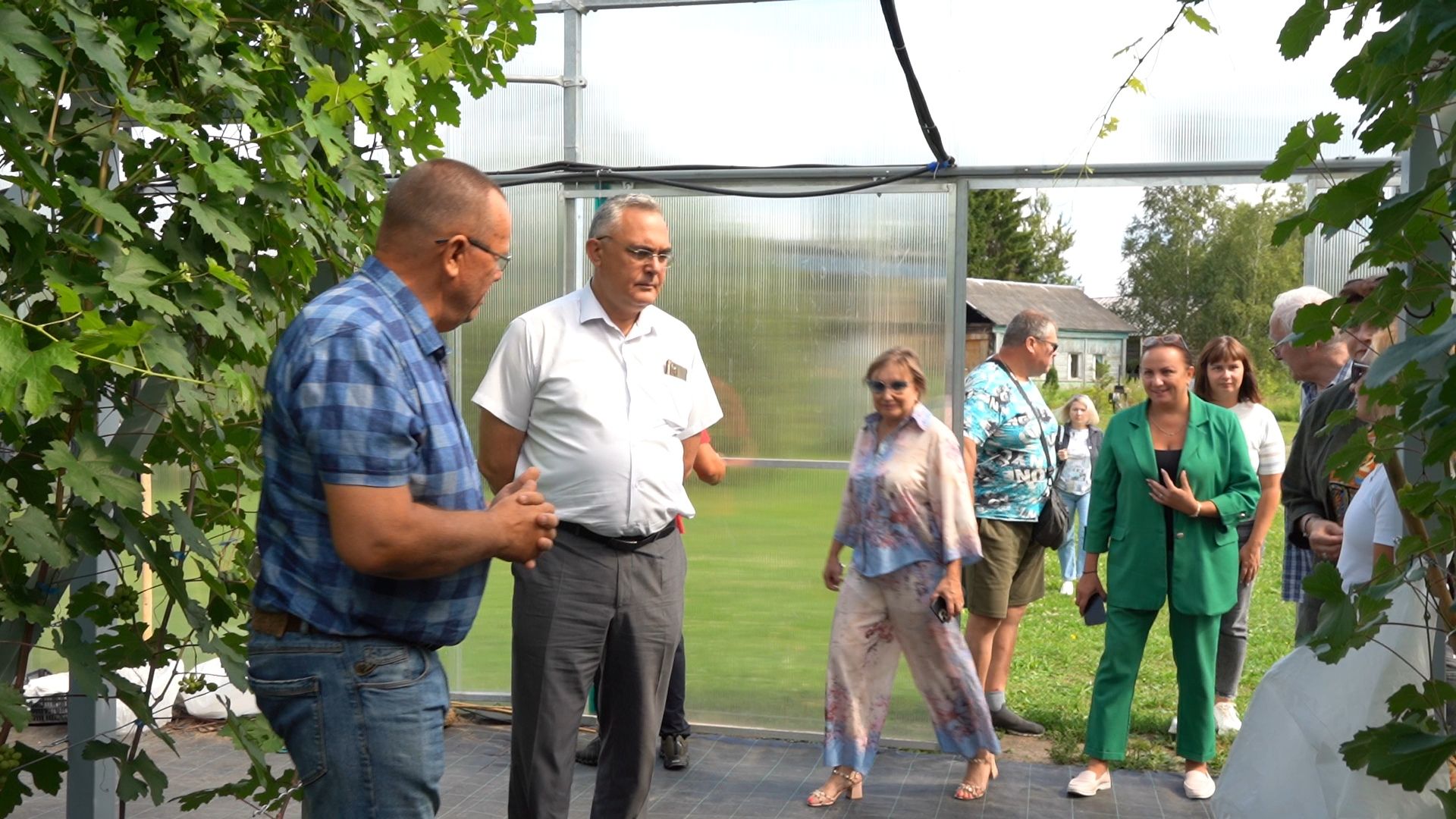 Егорьевск, Бизнес, Подмосковье, Московская область, виноград, импортозамещение,
