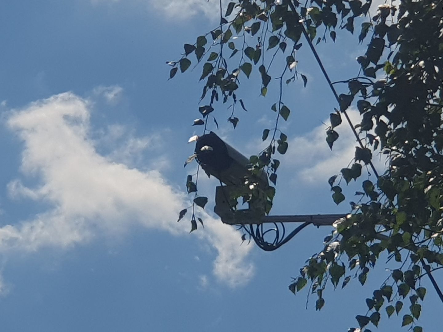 безопасный регион, камеры видеонаблюдения, мытищи, безопасность,