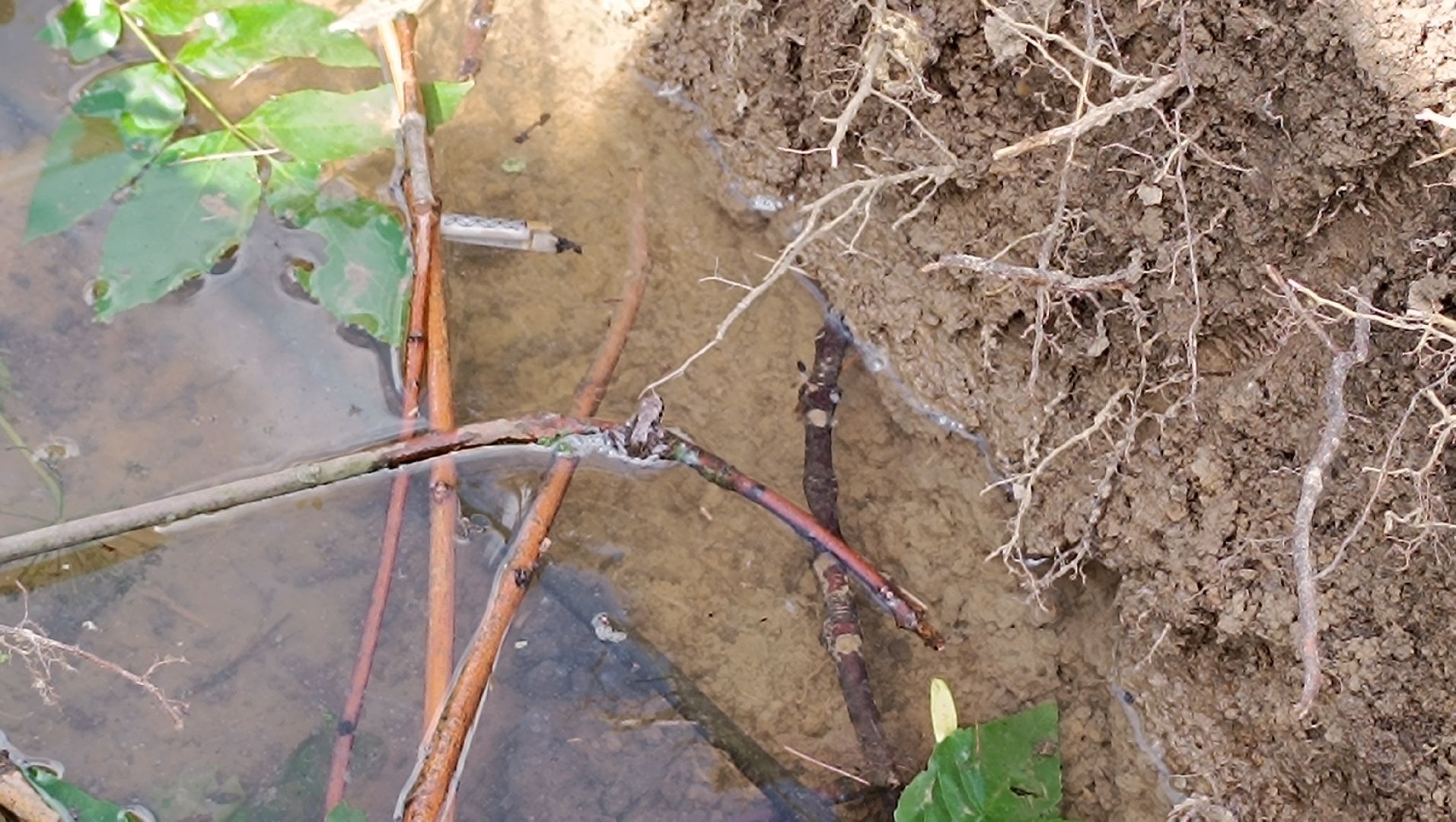 ржд, пешеходный переход, строительство,