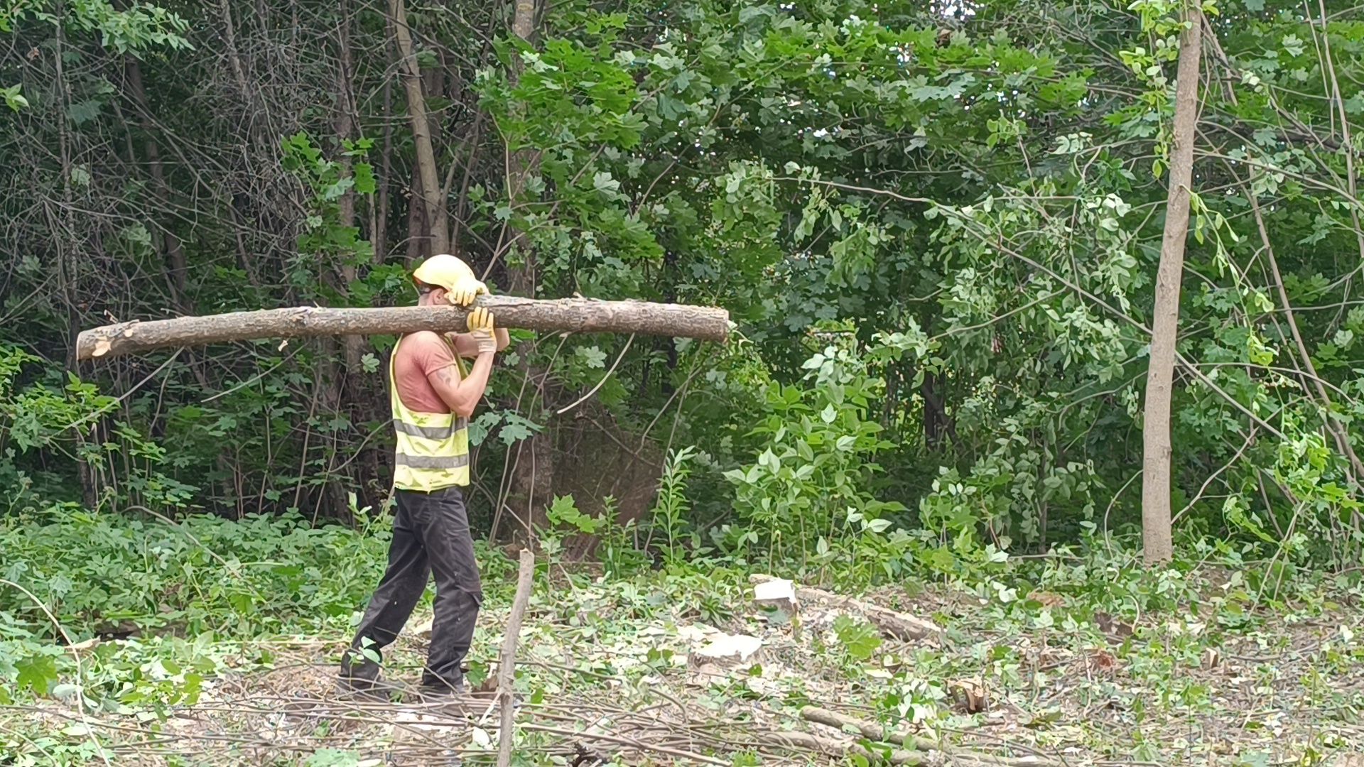 ржд, пешеходный переход, строительство,