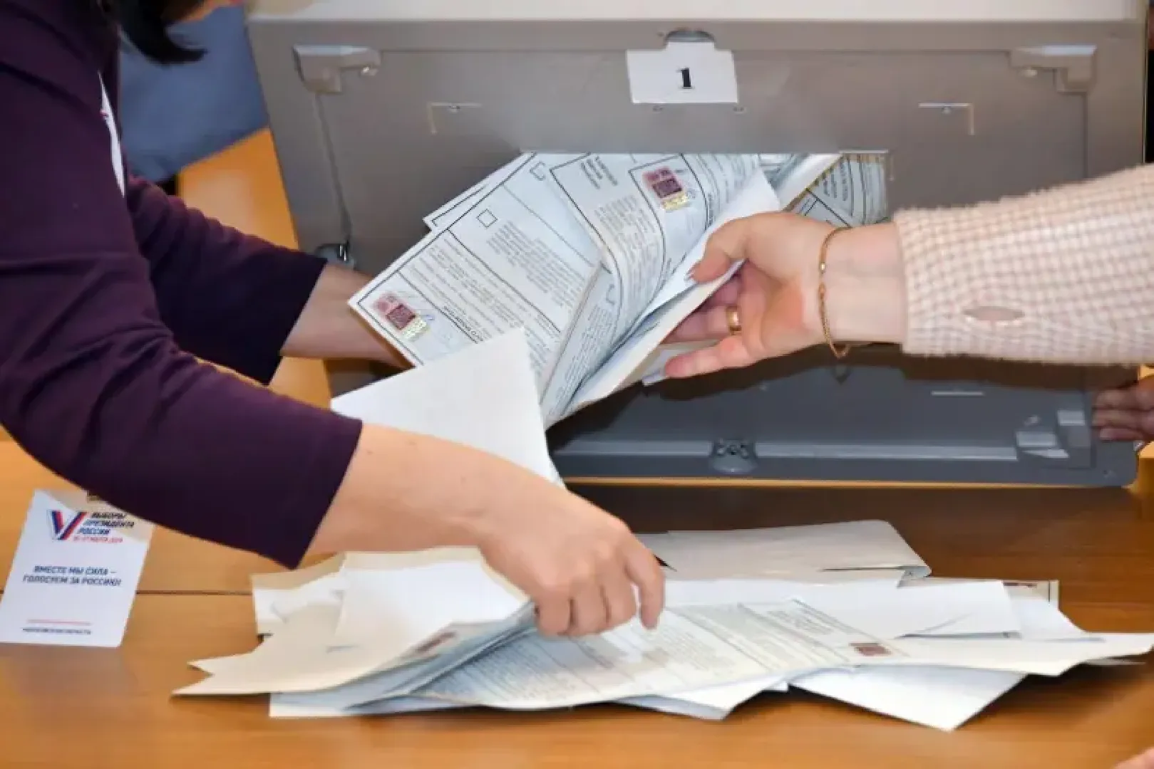 муниципальные выборы Власиха, единый день голосования, 8 сентября выборы, дистанционное электронное голосование, выборы депутатов Совета депутатов,