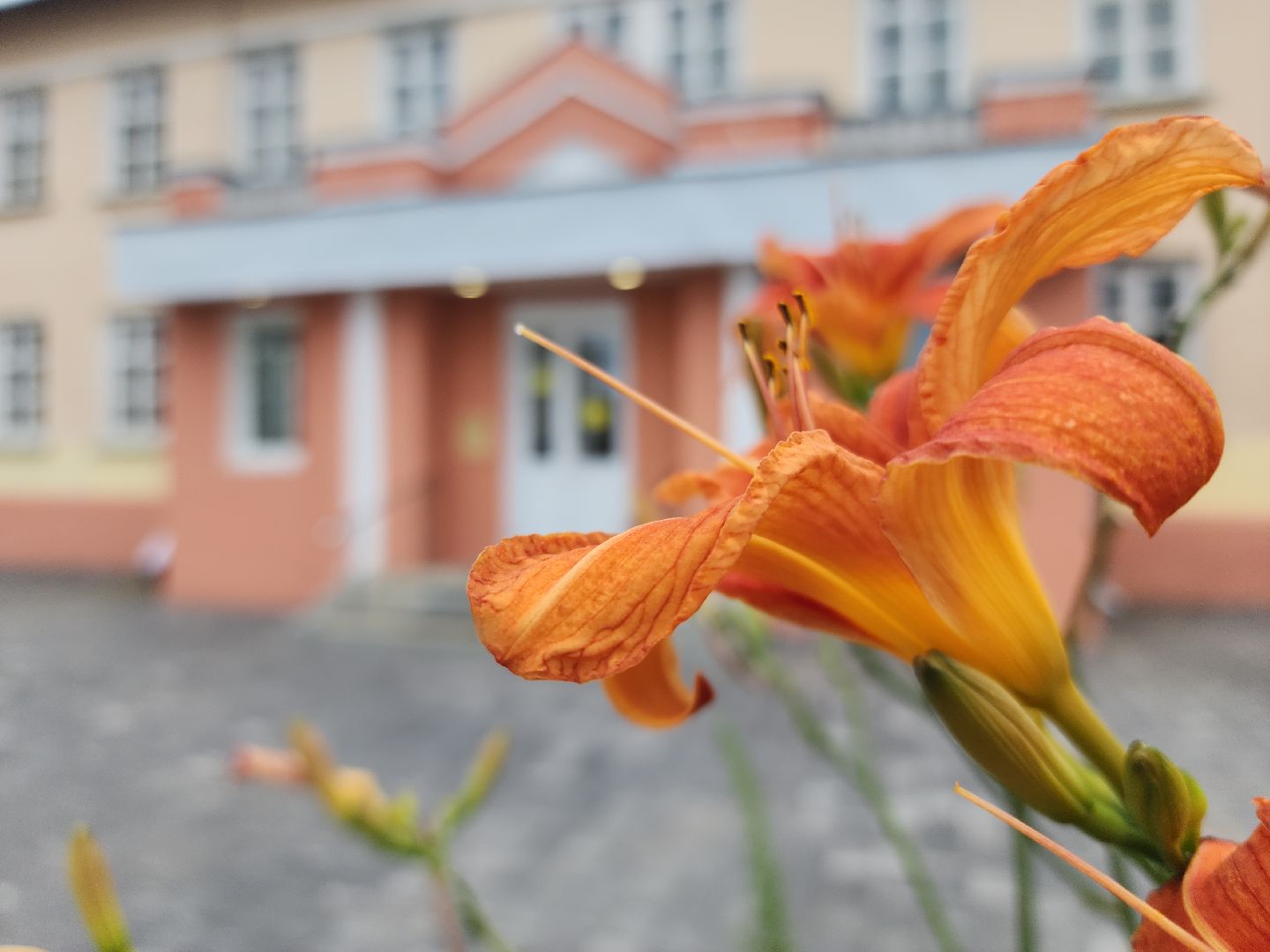 электросталь, мой город, жители города, культура, культура и туризм в подмосковье, лето в подмосковье, музей, мастер-класс,