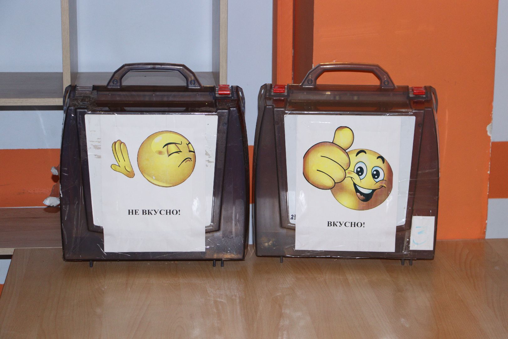 дзержинский, Андроник Пак, образование в подмосковье, готовность к открытию 1 сентября, парус, Юлия Шабанова, Оксана Щемерова, Дарья Батурина,