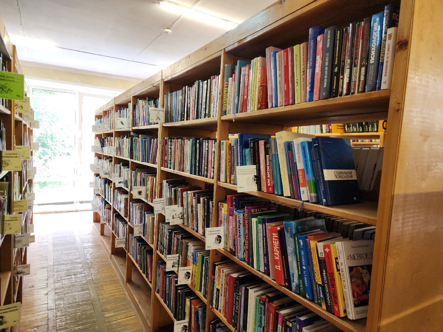 красноармейск, городской округ пушкинский, библиотека, мое подмосковье,