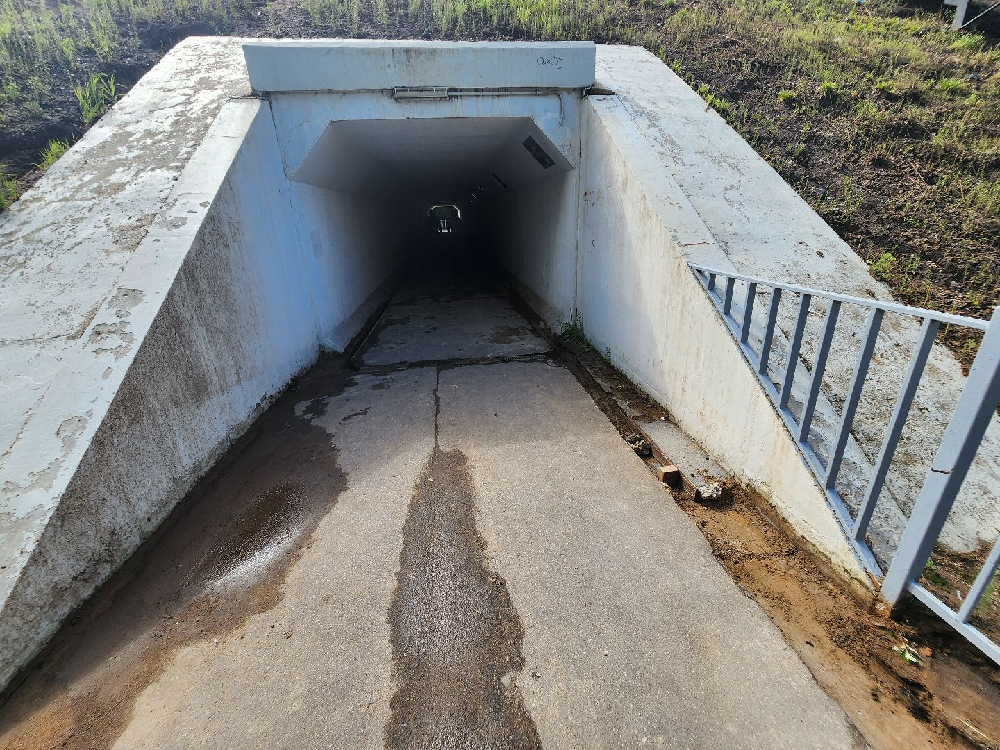 долгопрудный, благоустройство, МЦД Хлебниково, ливневка, переход, тоннель,