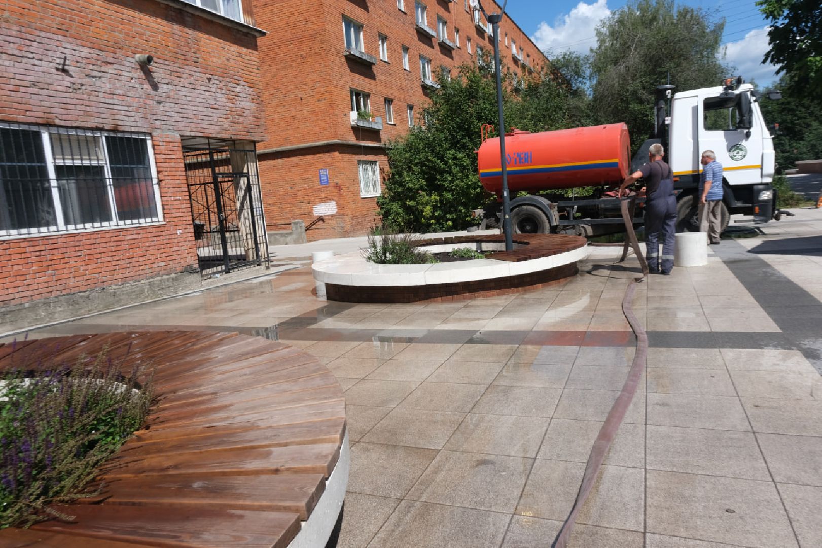 пущино, серпухов, благоустройство, растения,