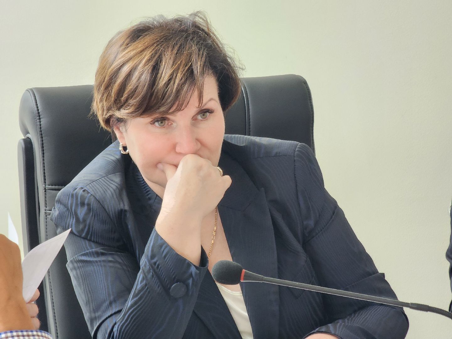 одинцово, московская область, правительство, содержание территорий, Люберцы,