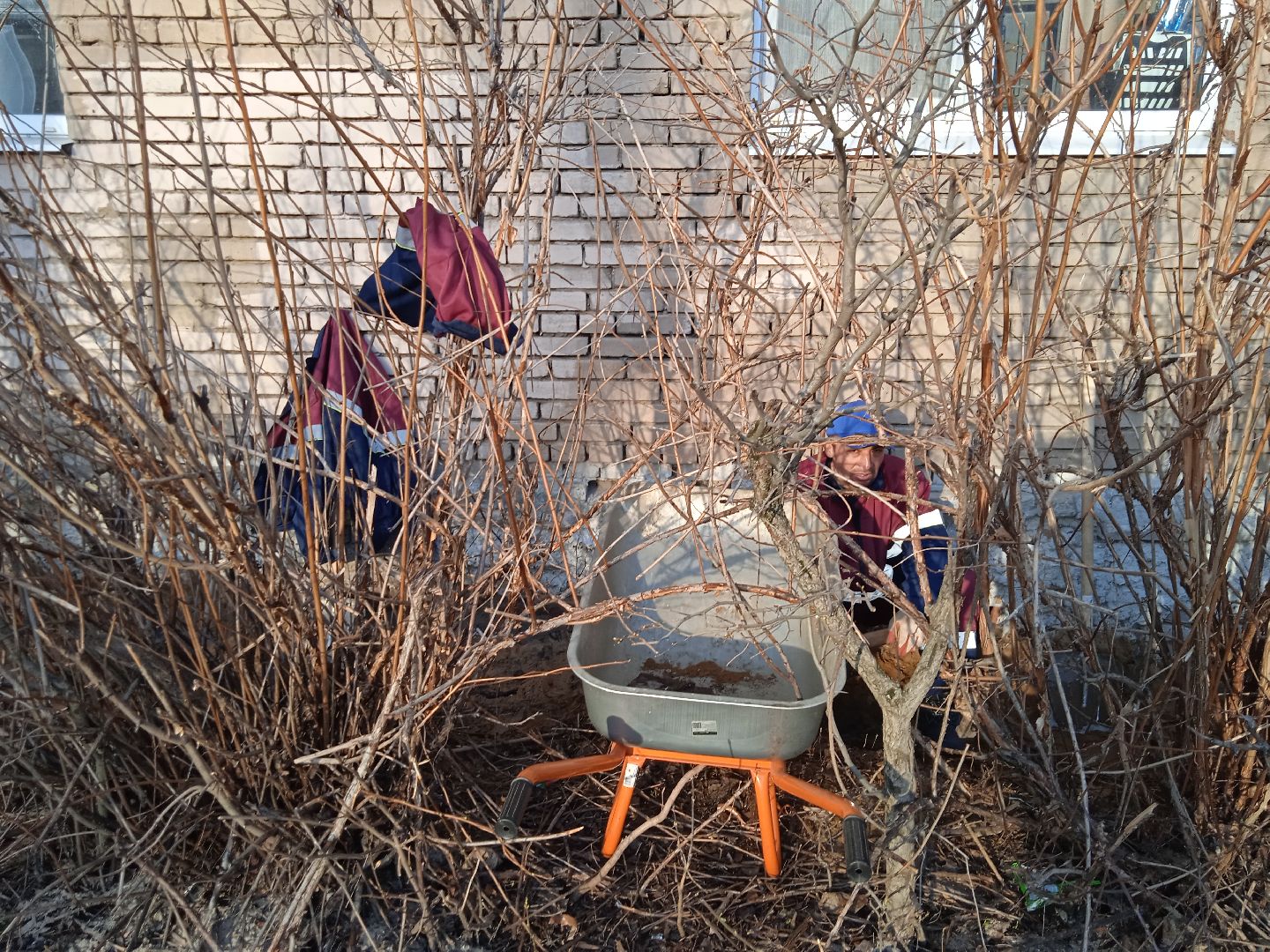 дом, отмостка, ремонт, перемены, Жуковский