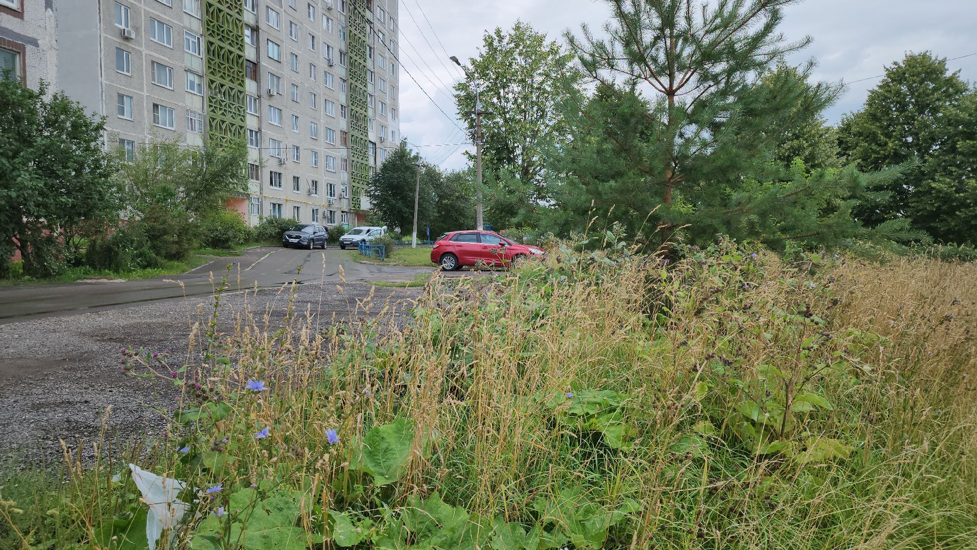 кашира, ледово, выездная администрация, покос территории, ремонт моста, уборка территории,