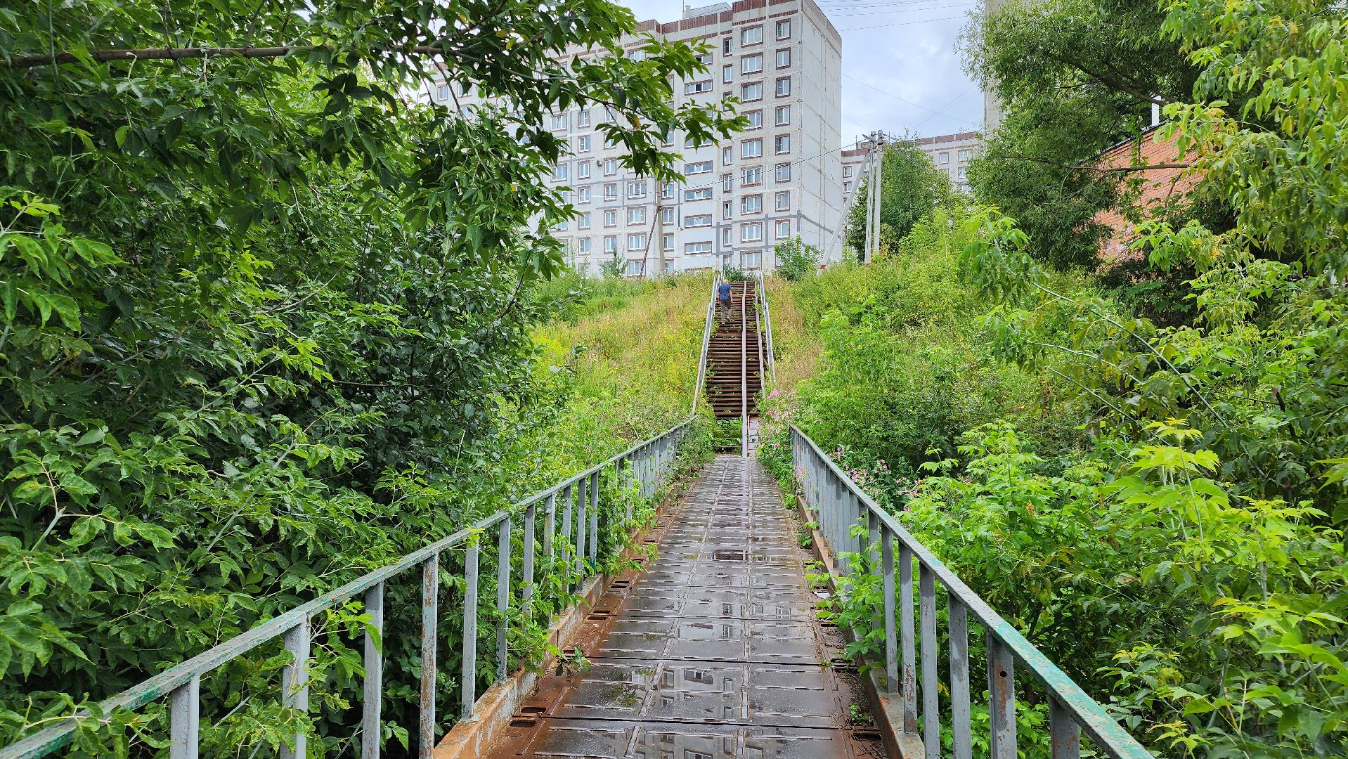 кашира, ледово, выездная администрация, покос территории, ремонт моста, уборка территории,