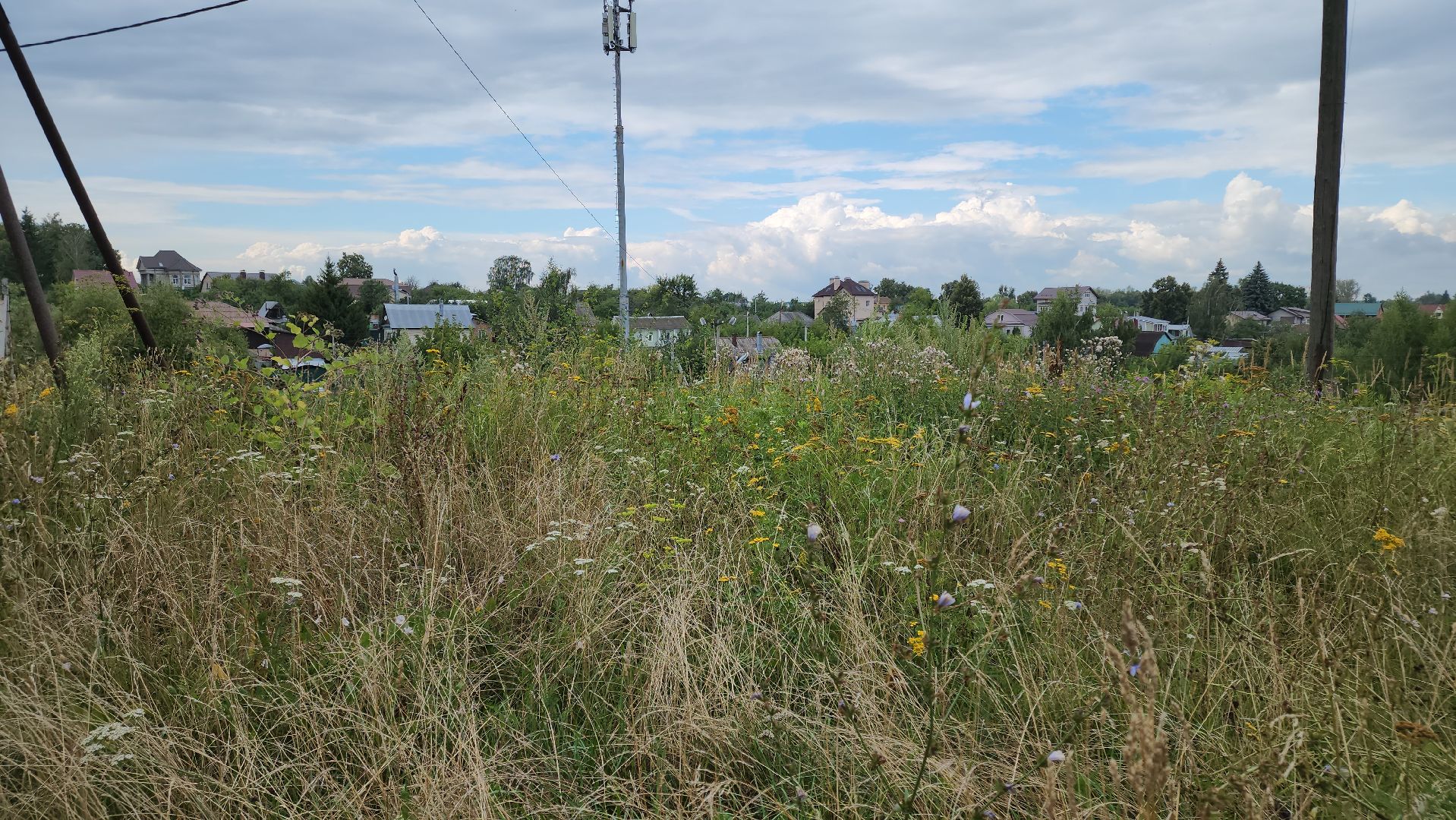 кашира, ледово, выездная администрация, покос территории, ремонт моста, уборка территории,