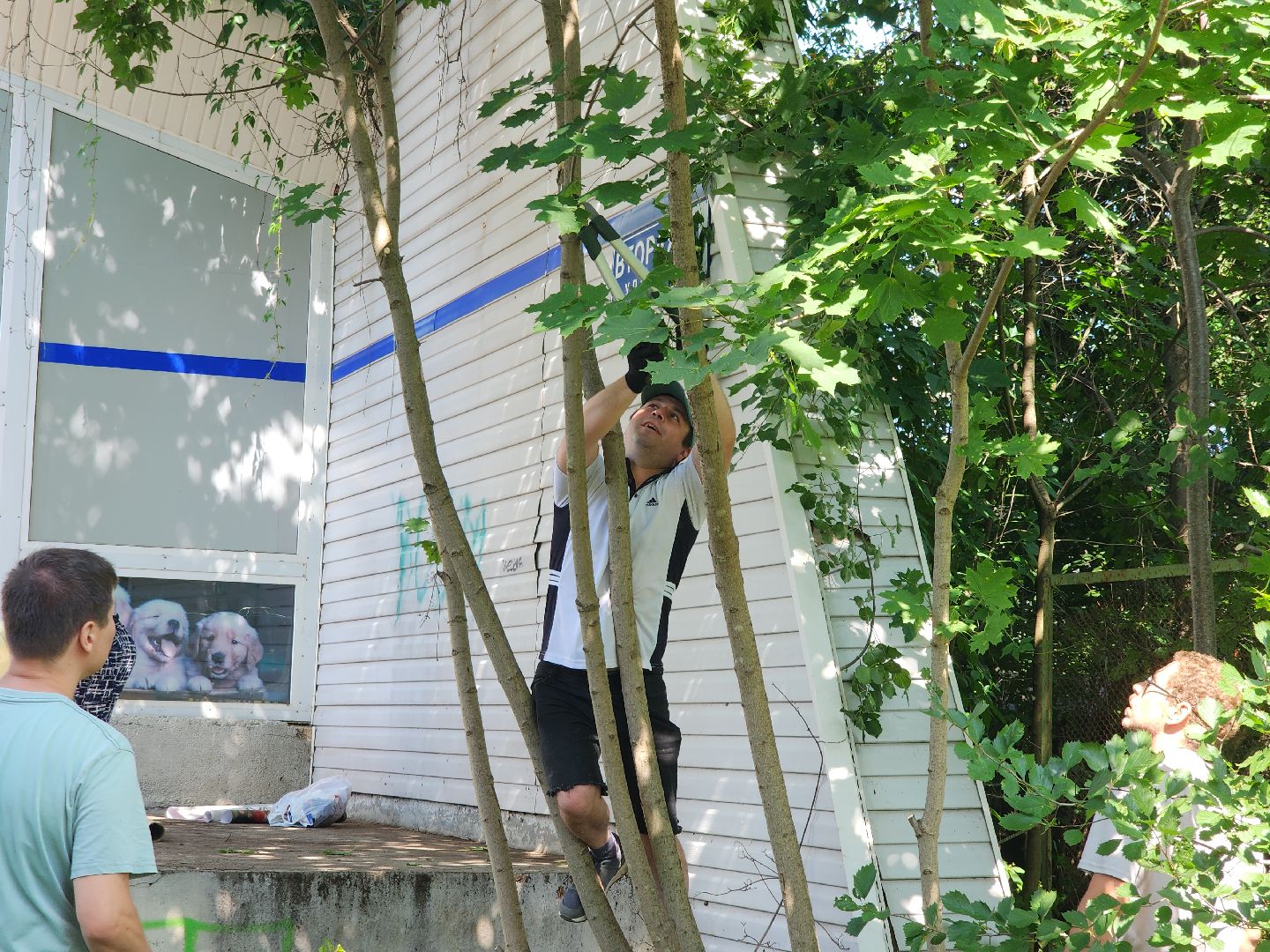 Черноголовка, оранжерея, Арт-субботник, жкх,