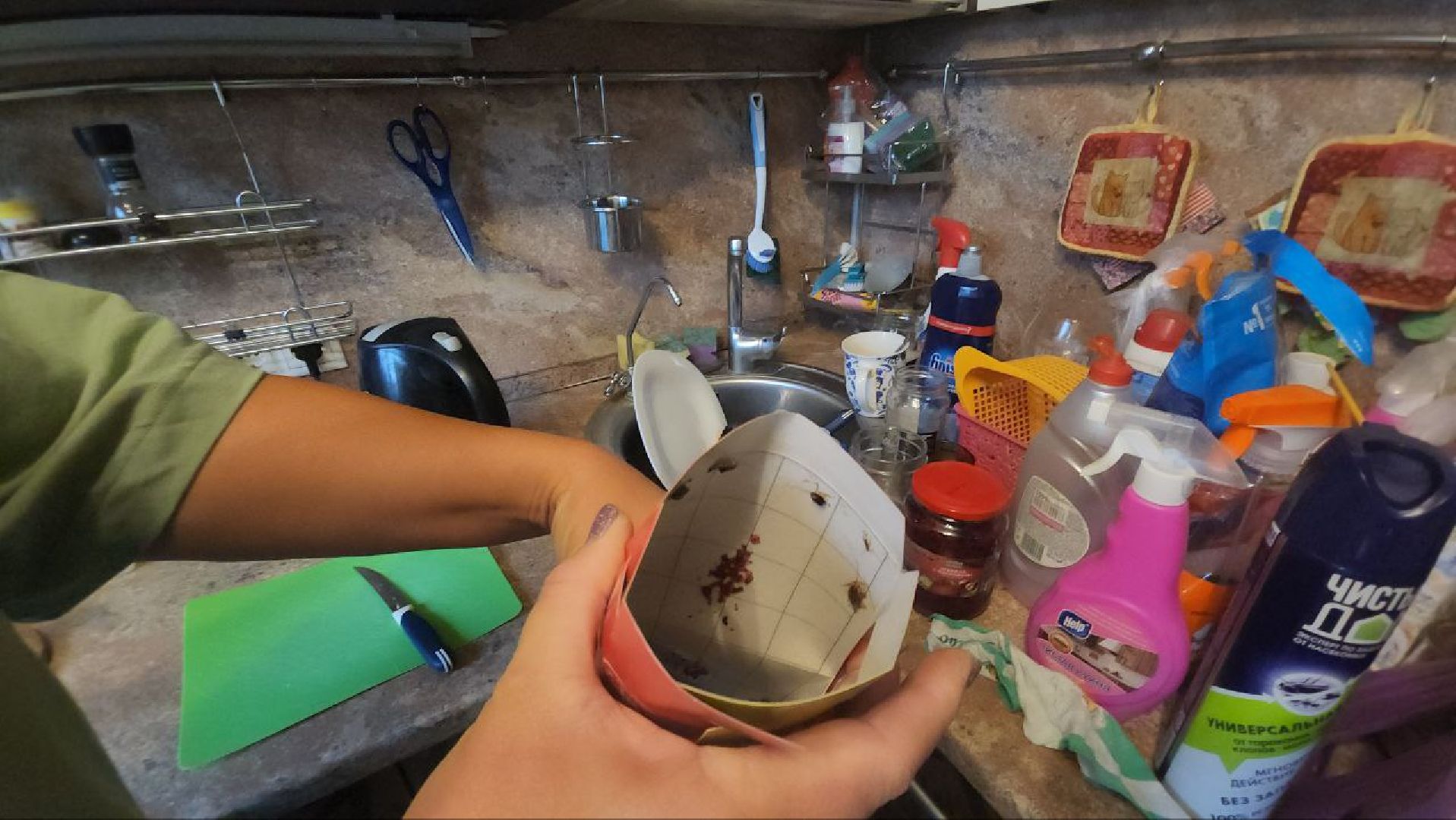 люберцы, тараканы, дезинсекция, обработка, управляющая компания, жители,