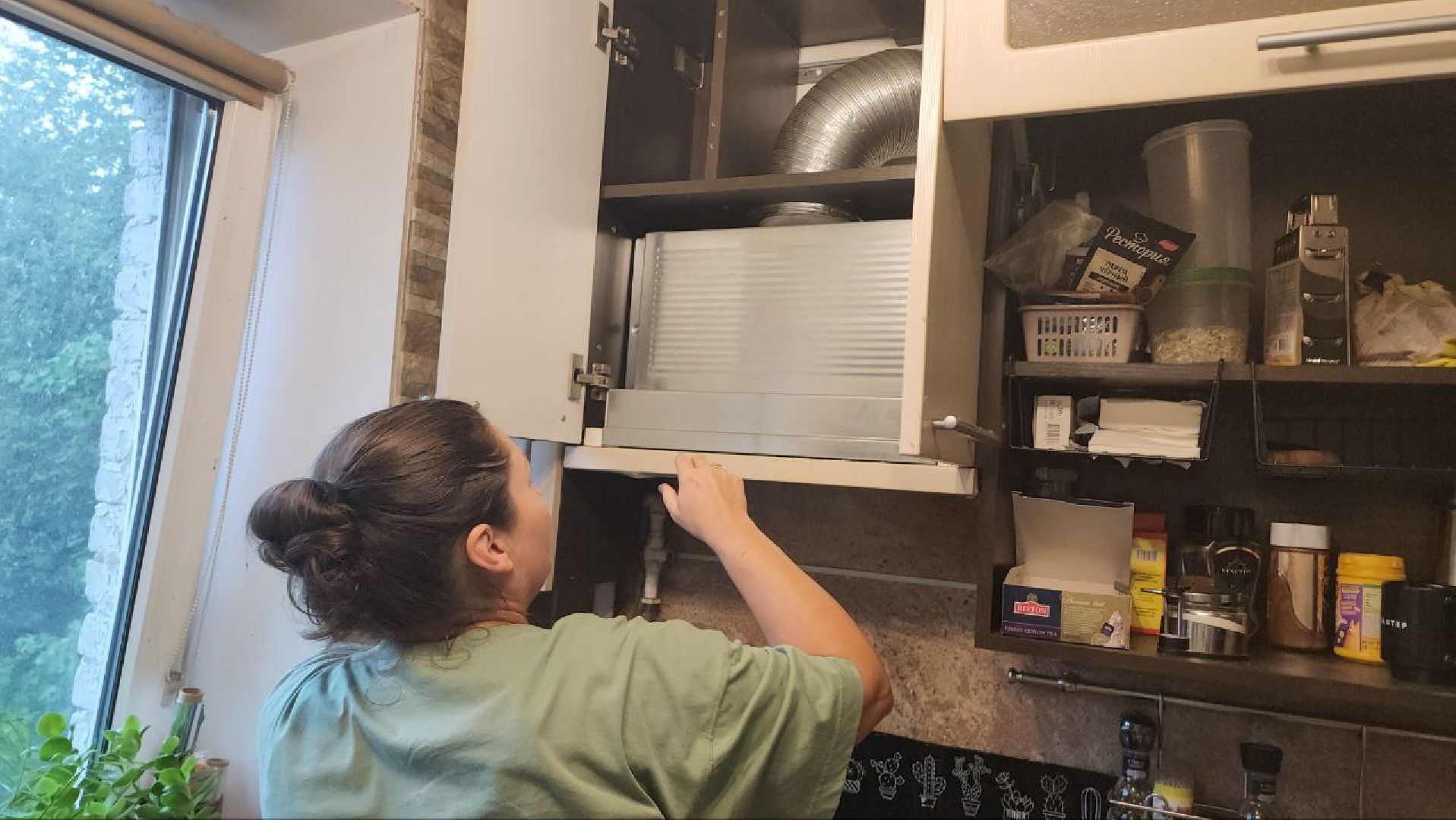 люберцы, тараканы, дезинсекция, обработка, управляющая компания, жители,