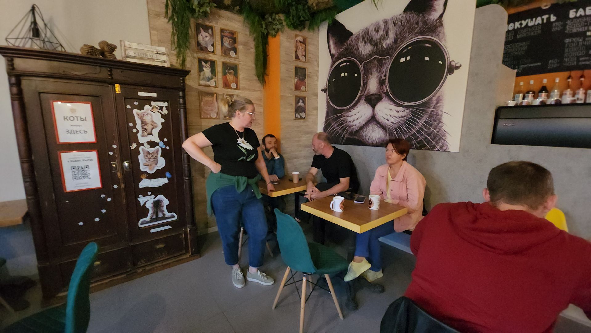 Кошки, Лобня, Бесплатные экскурсии,