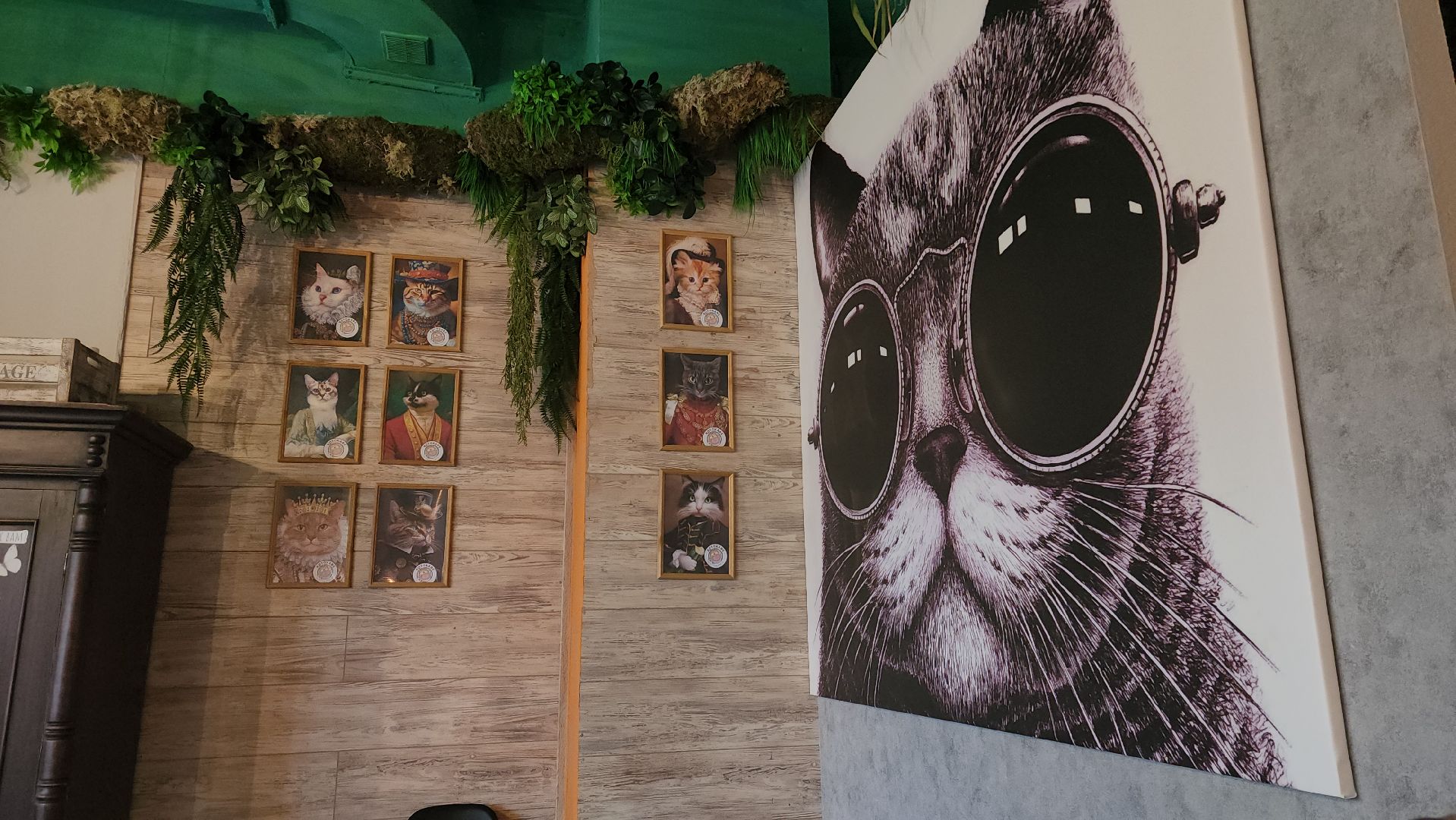 Кошки, Лобня, Бесплатные экскурсии,