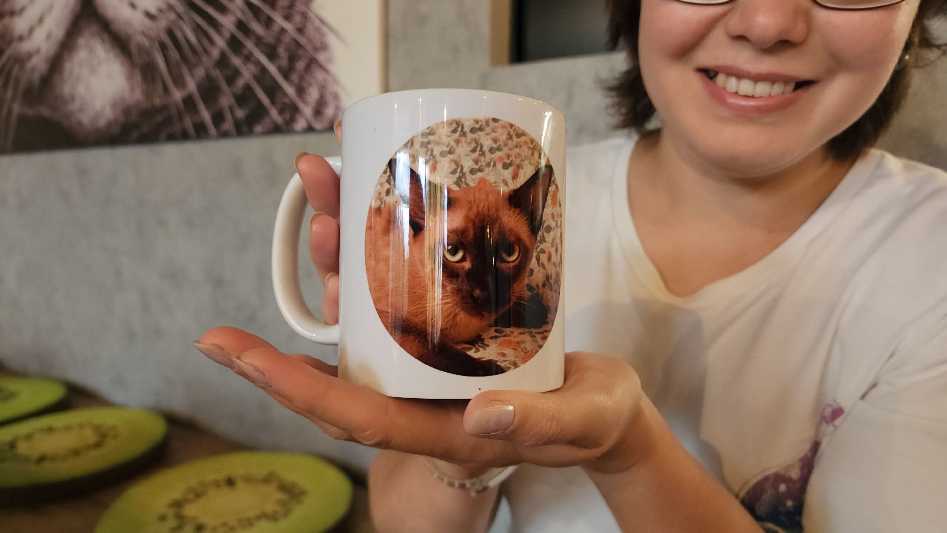 Кошки, Лобня, Бесплатные экскурсии,