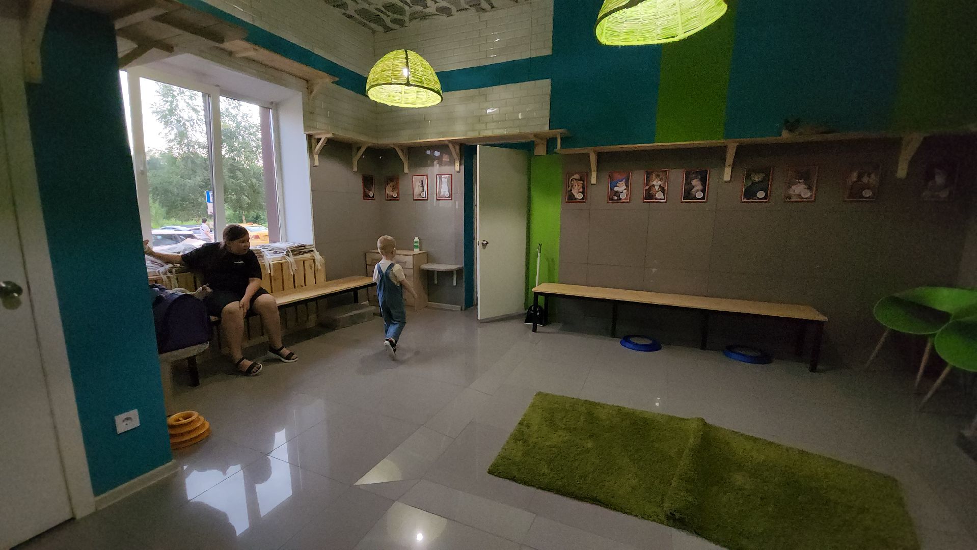 Кошки, Лобня, Бесплатные экскурсии,