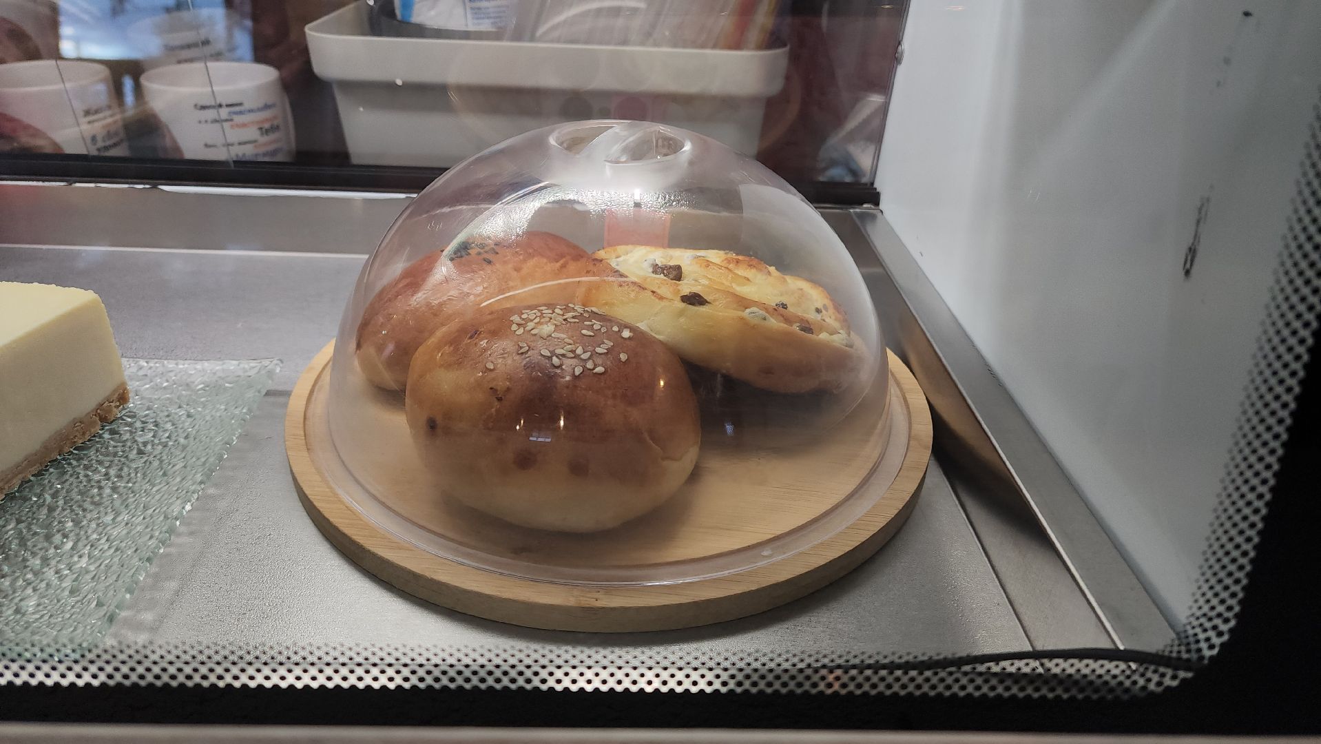 Кошки, Лобня, Бесплатные экскурсии,