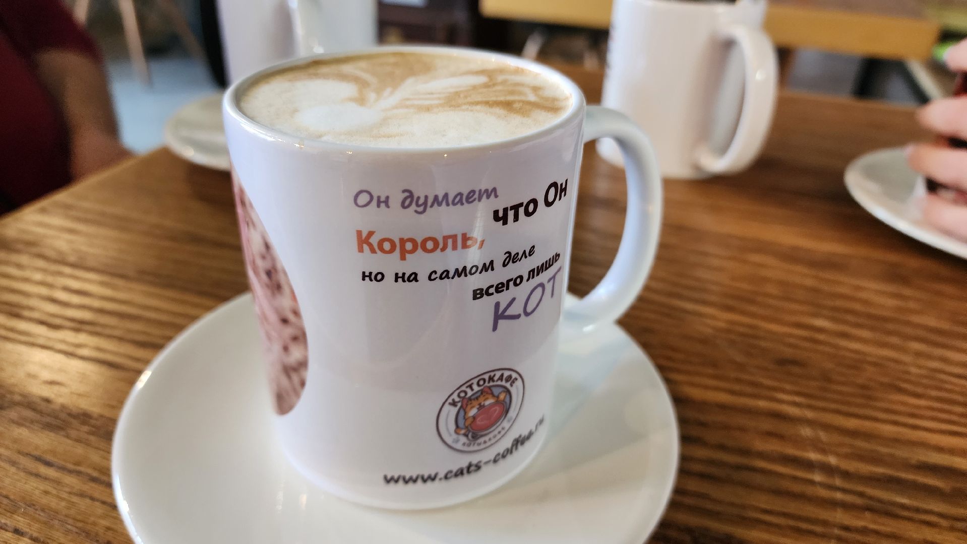 Кошки, Лобня, Бесплатные экскурсии,