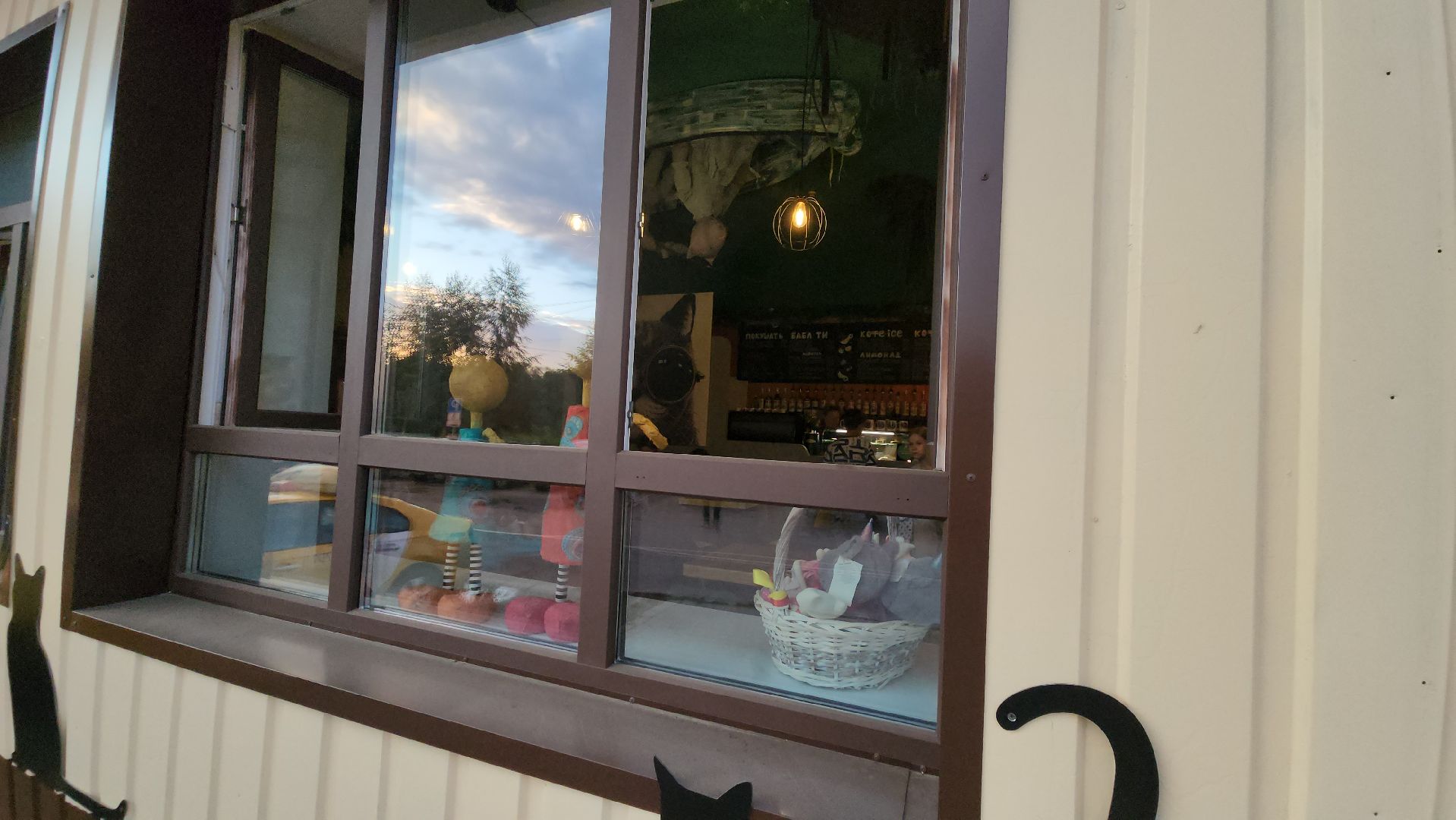 Кошки, Лобня, Бесплатные экскурсии,