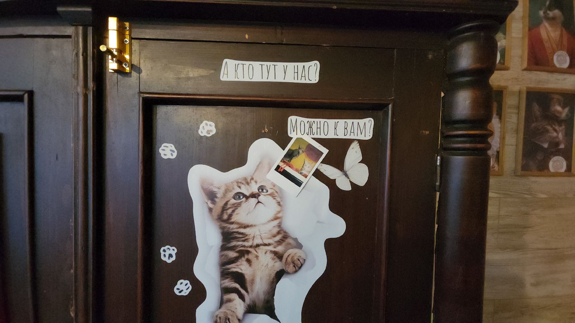 Кошки, Лобня, Бесплатные экскурсии,