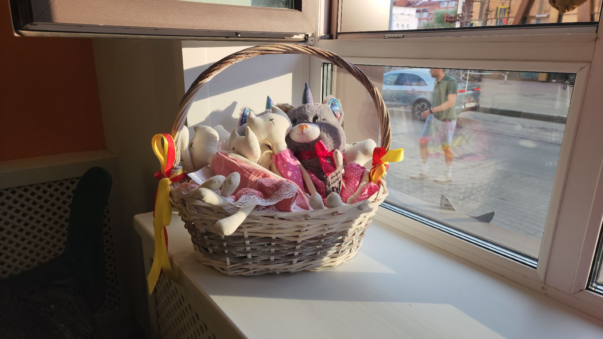 Кошки, Лобня, Бесплатные экскурсии,