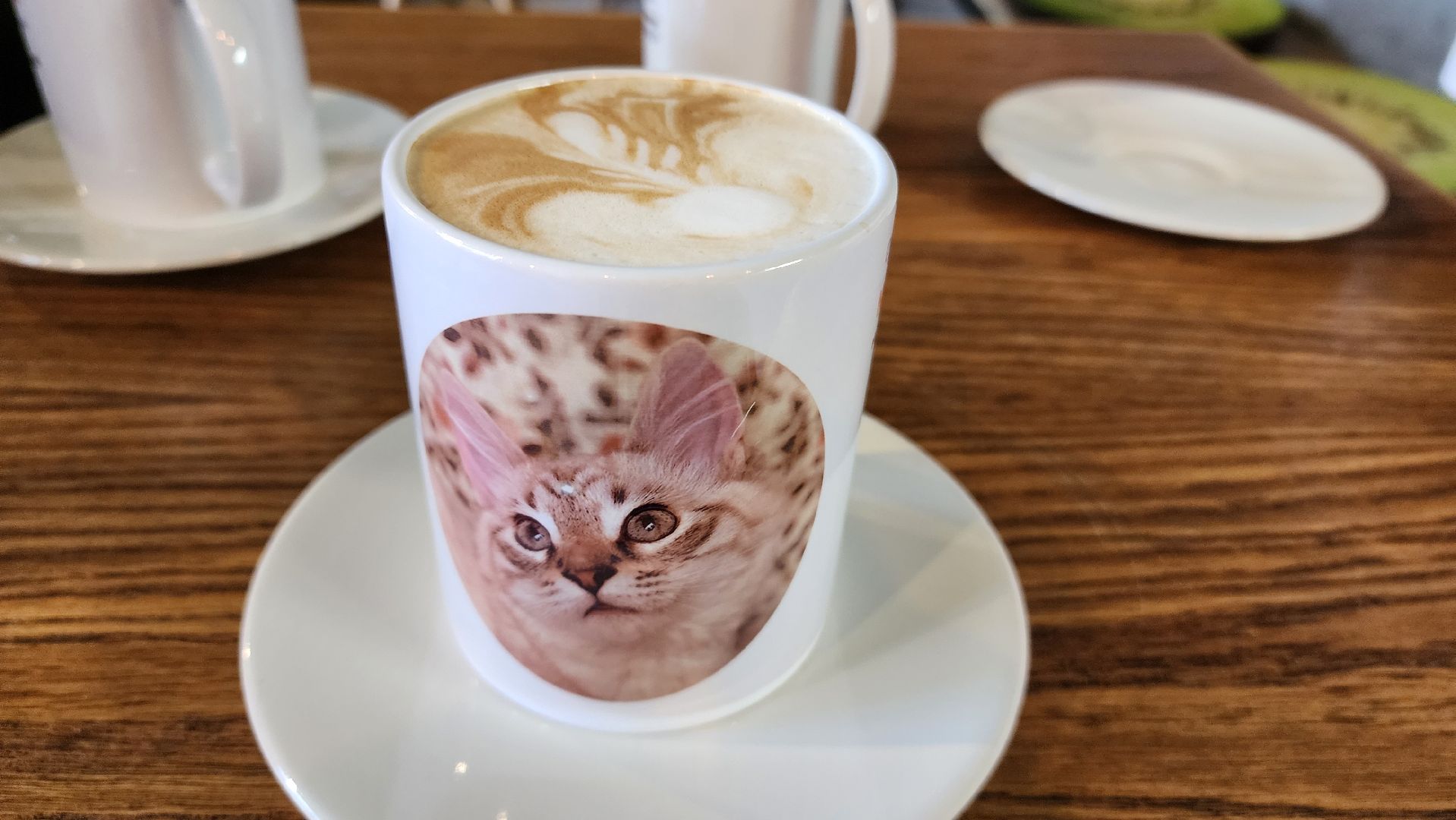 Кошки, Лобня, Бесплатные экскурсии,