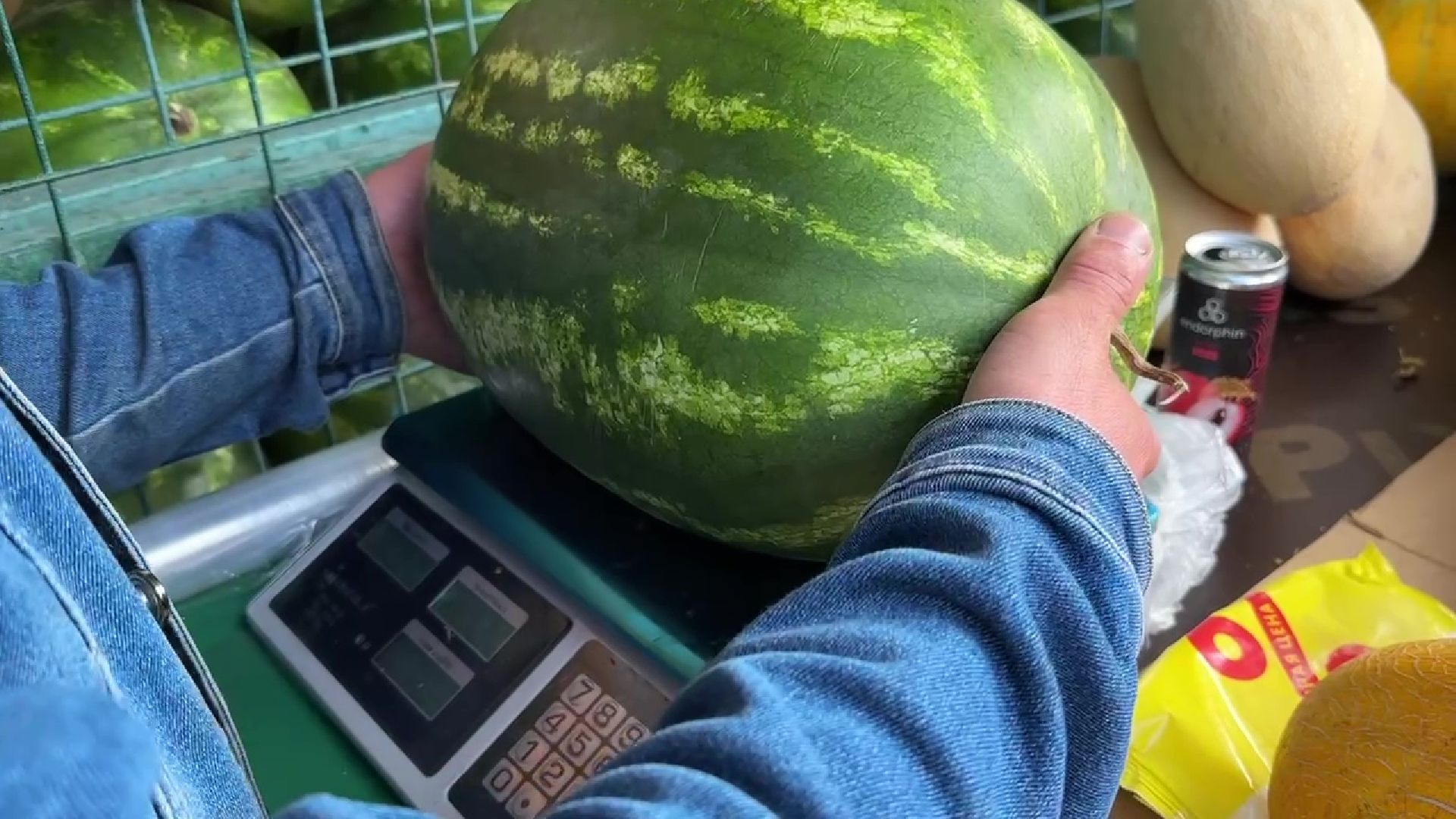 Реутов, бахчевые, торговля, арбузы, дыни, сезон начался,