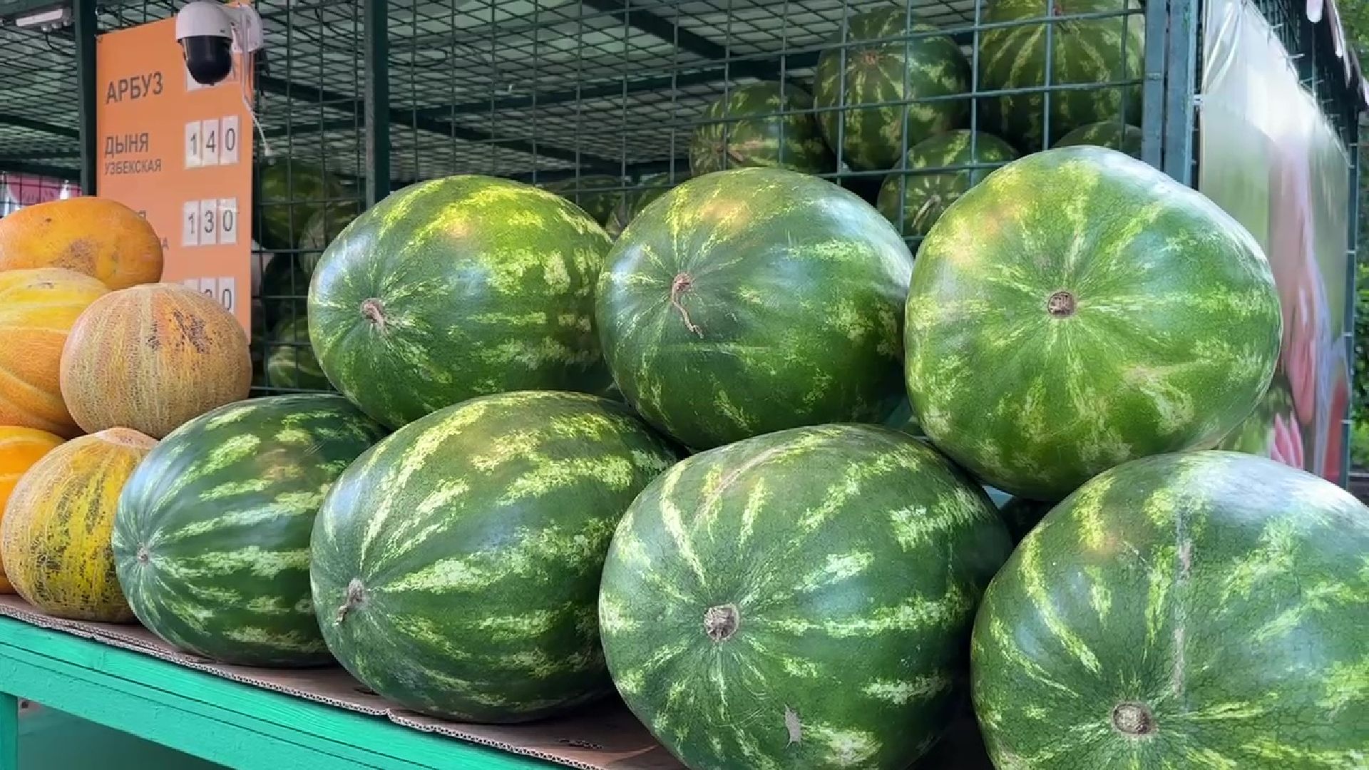 Реутов, бахчевые, торговля, арбузы, дыни, сезон начался,
