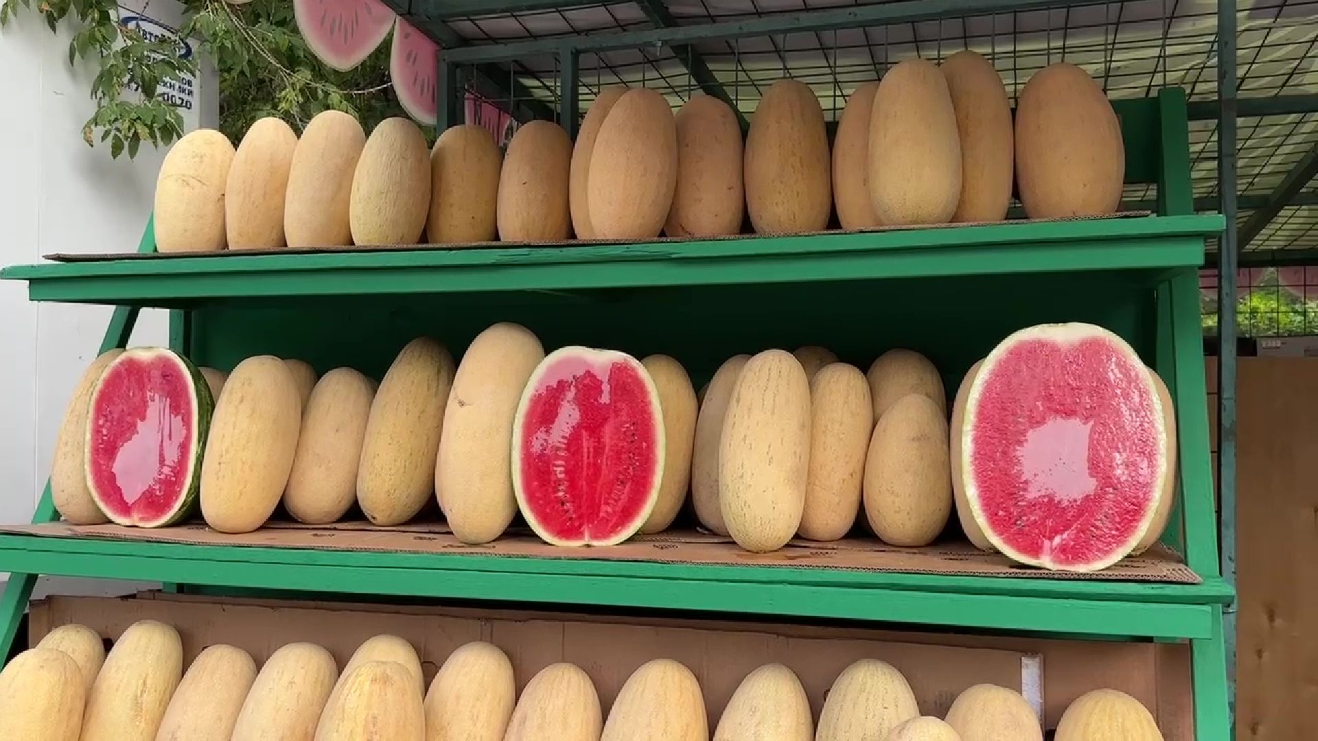 Реутов, бахчевые, торговля, арбузы, дыни, сезон начался,