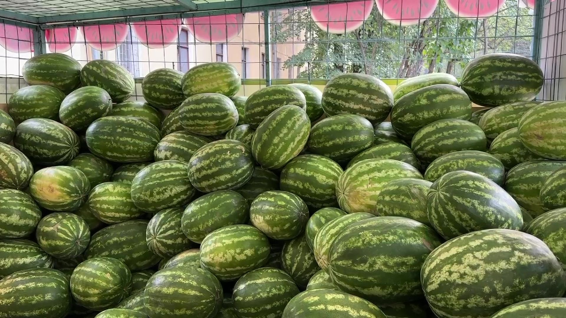 Реутов, бахчевые, торговля, арбузы, дыни, сезон начался,