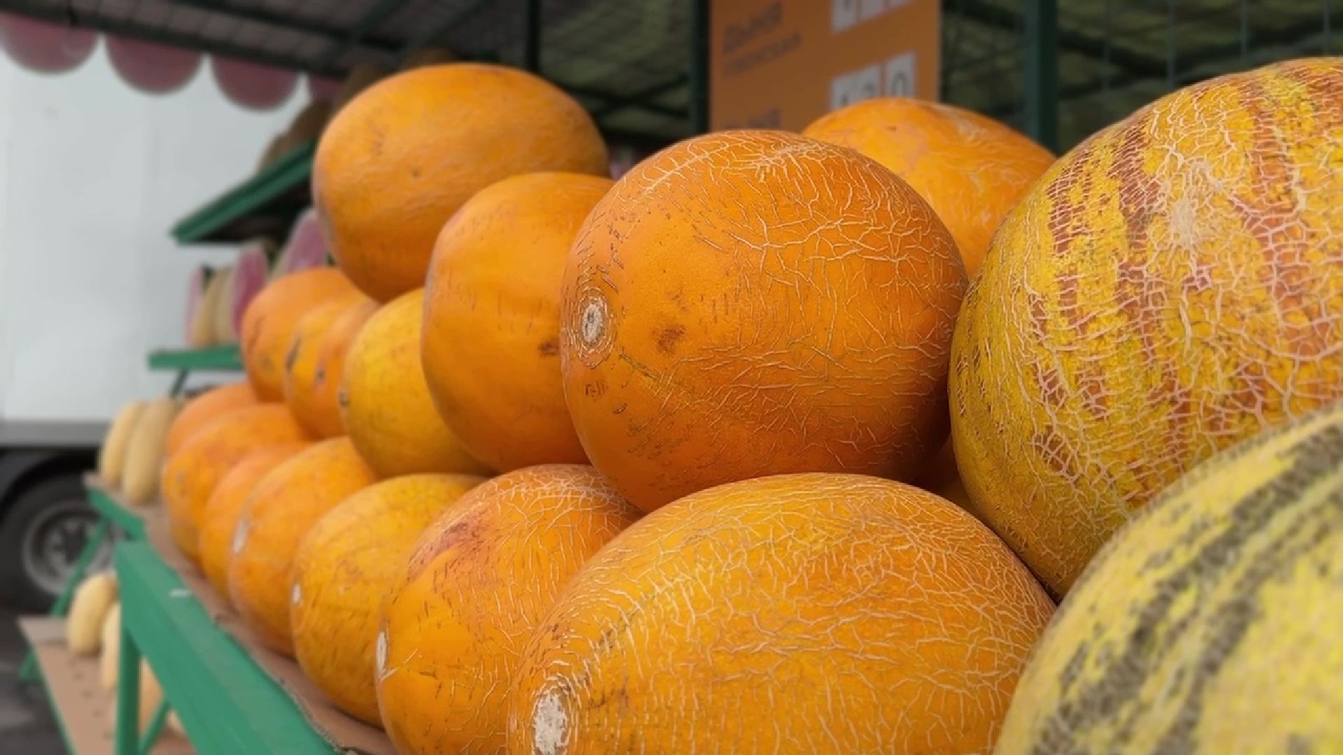 Реутов, бахчевые, торговля, арбузы, дыни, сезон начался,