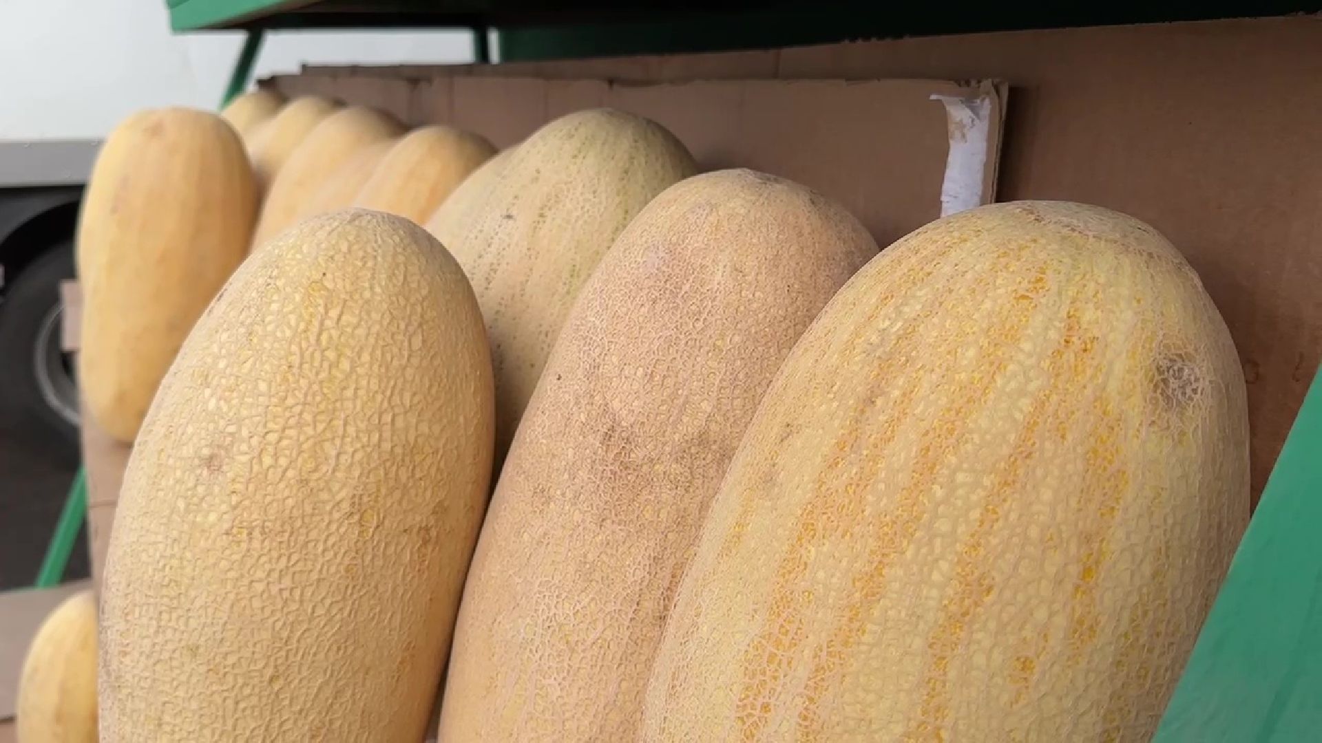 Реутов, бахчевые, торговля, арбузы, дыни, сезон начался,