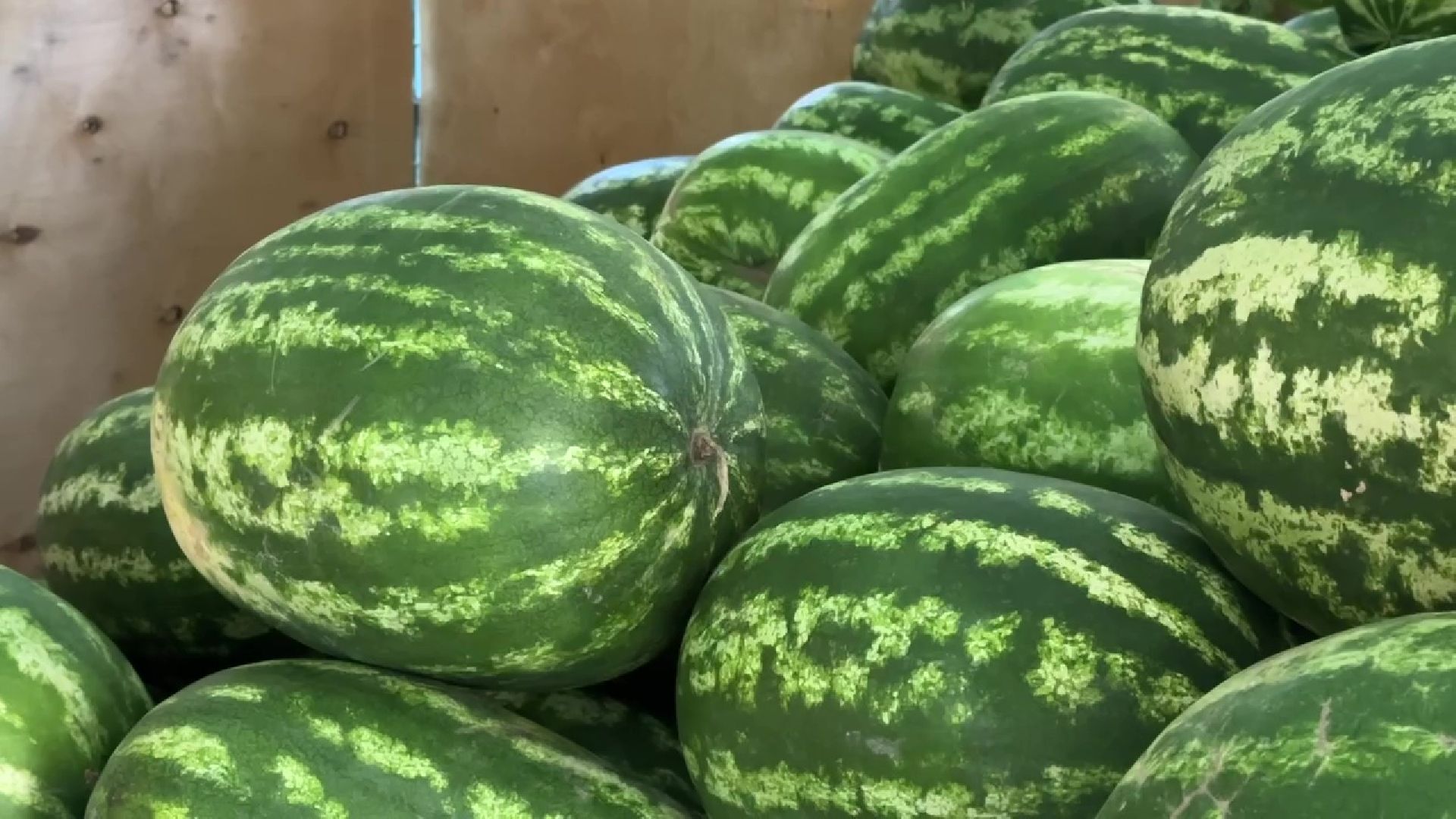 Реутов, бахчевые, торговля, арбузы, дыни, сезон начался,