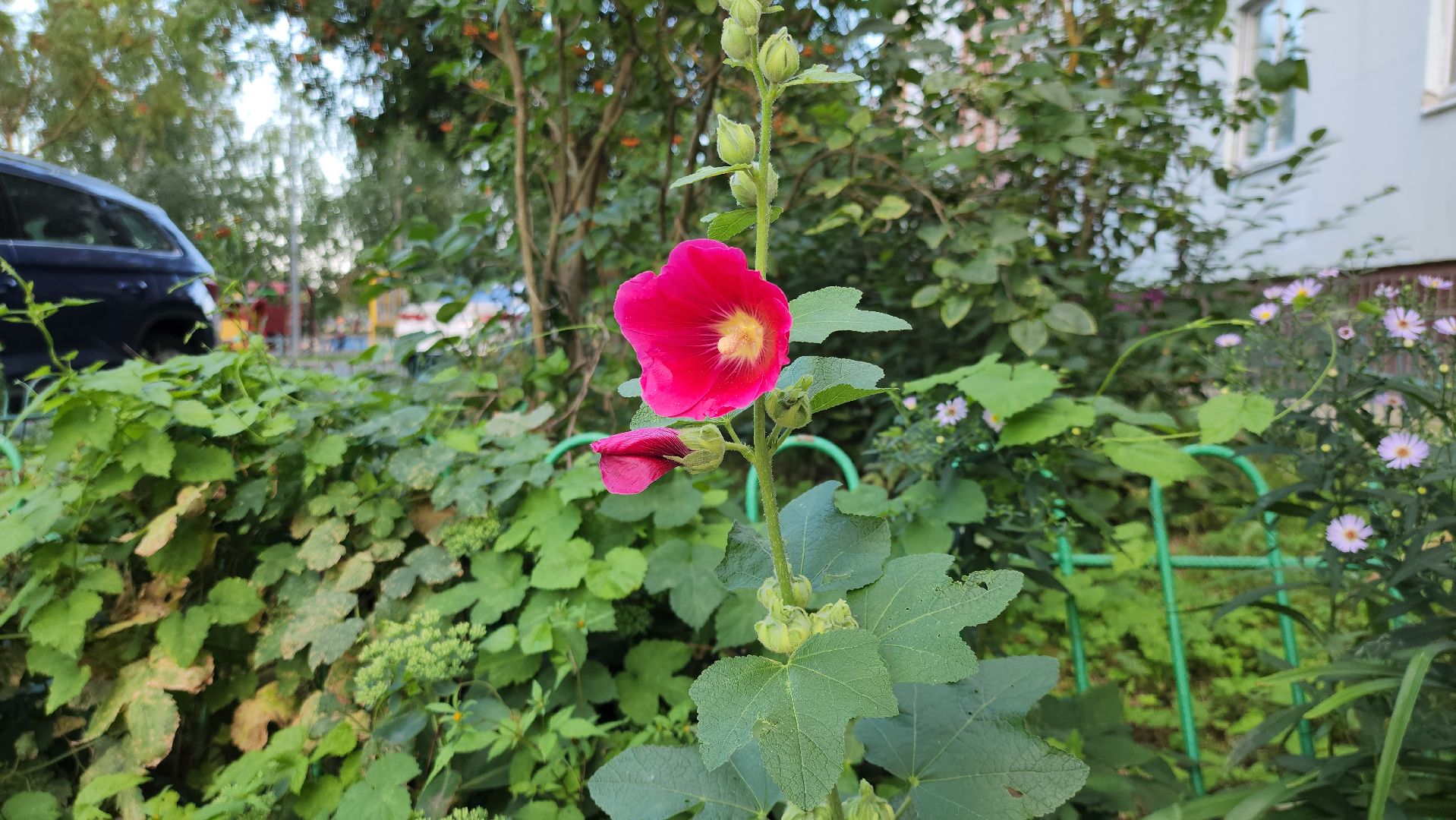 благоустройство, благоустройство дворов, благоустройство дворовой территории, комплексное благоустройство, руза, рузский городской округ, московская область,