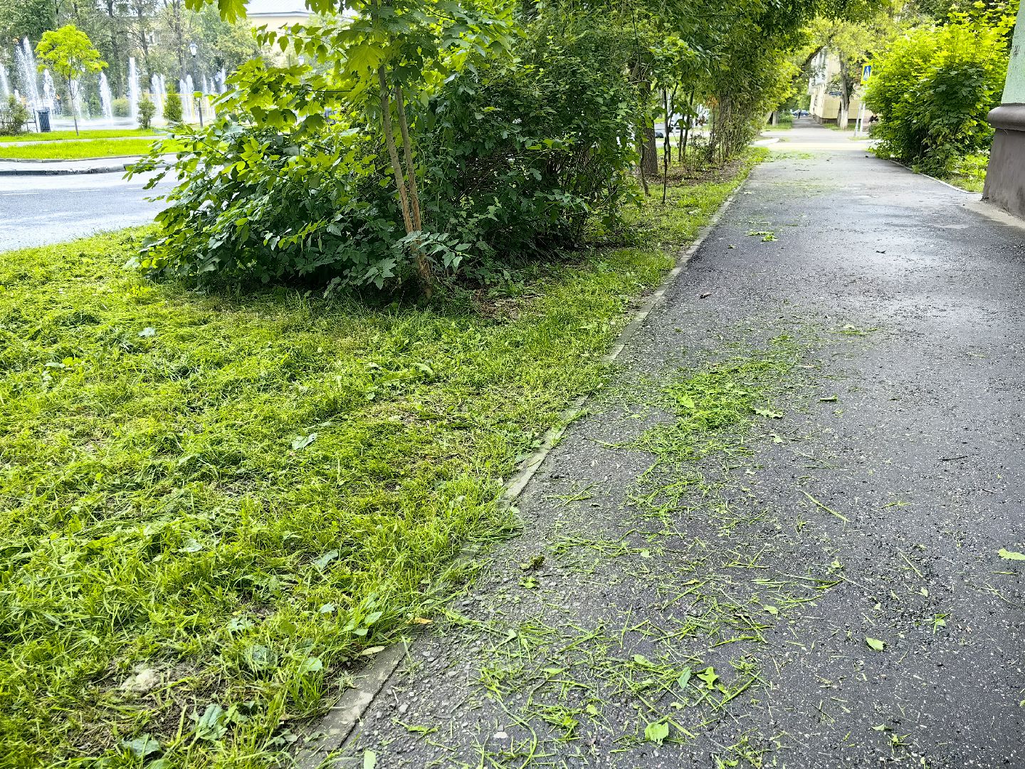 газон, стрижка, благоустройство, трава, щёлково,