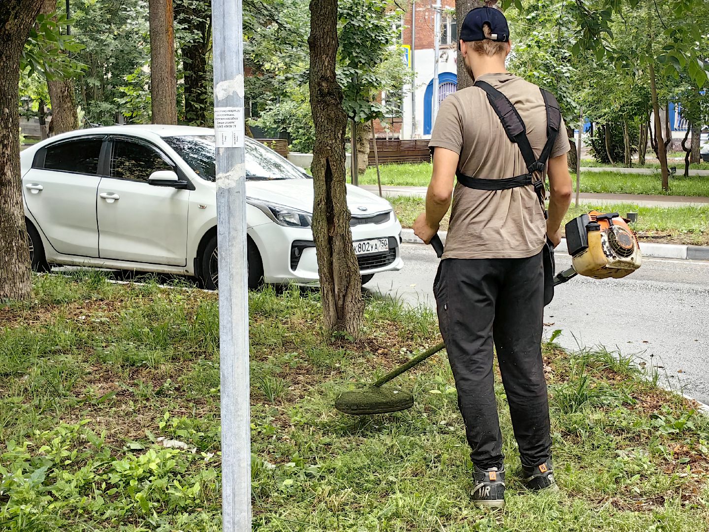 газон, стрижка, благоустройство, трава, щёлково,