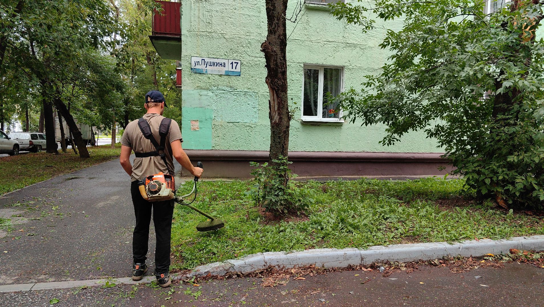 газон, стрижка, благоустройство, трава, щёлково,