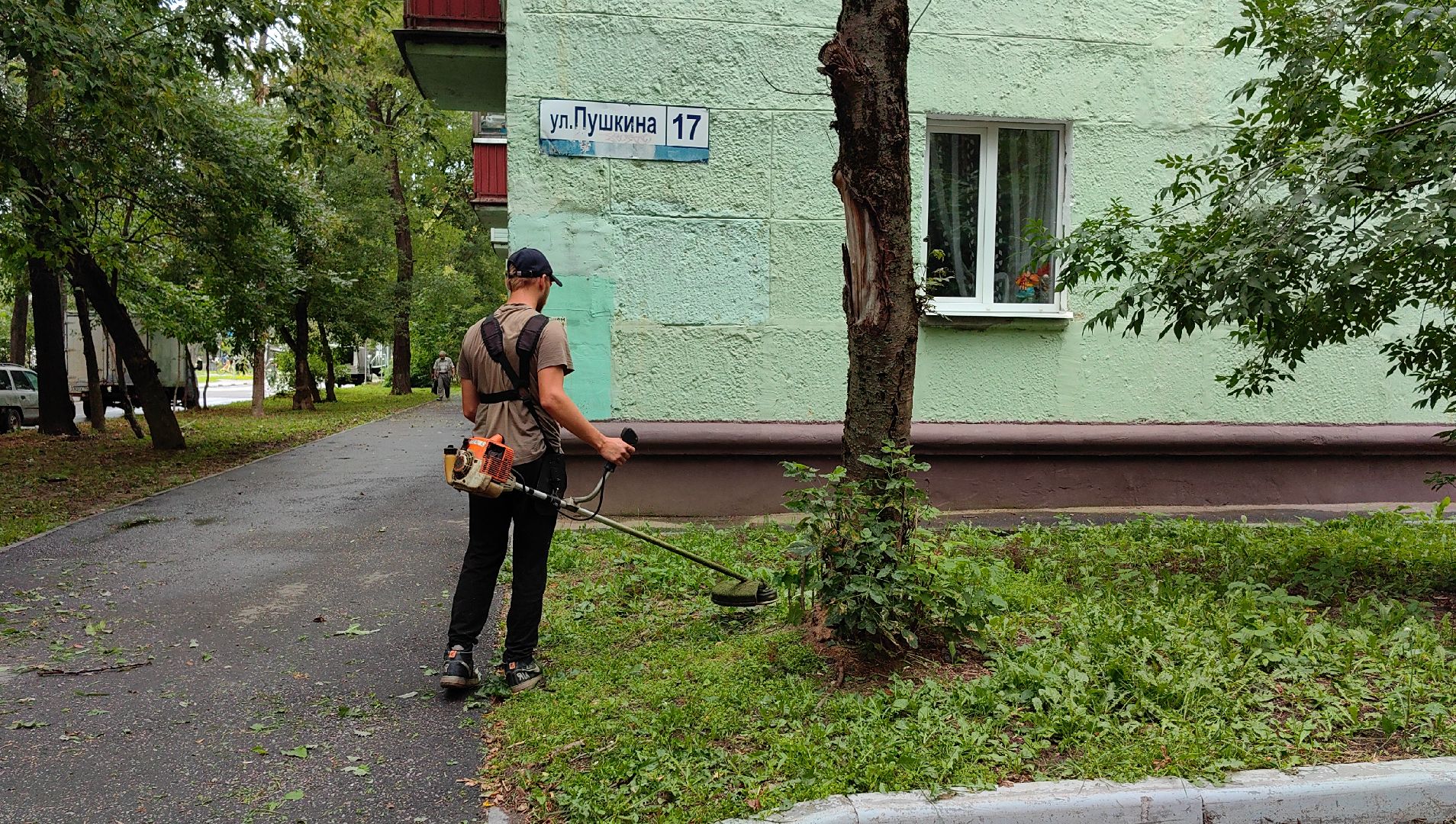 газон, стрижка, благоустройство, трава, щёлково,