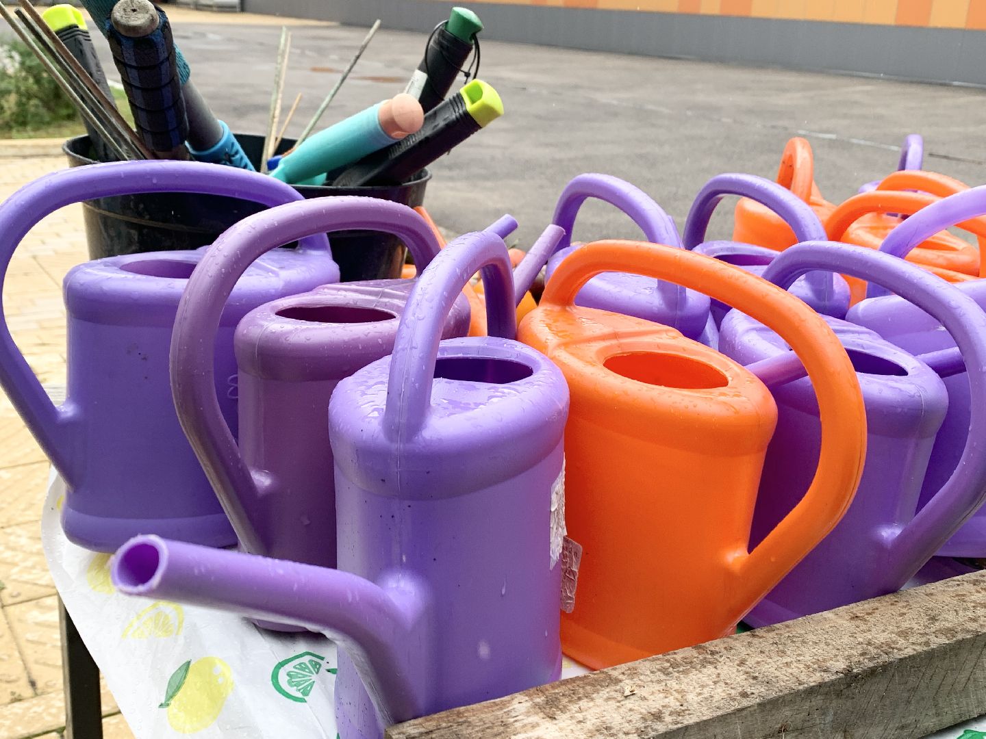 Балашиха, Подмосковье, Школьная теплица, оздоровительный лагерь, Умные каникулы,