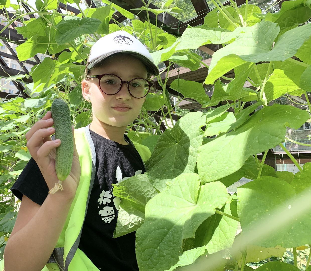 Балашиха, Подмосковье, Школьная теплица, оздоровительный лагерь, Умные каникулы,