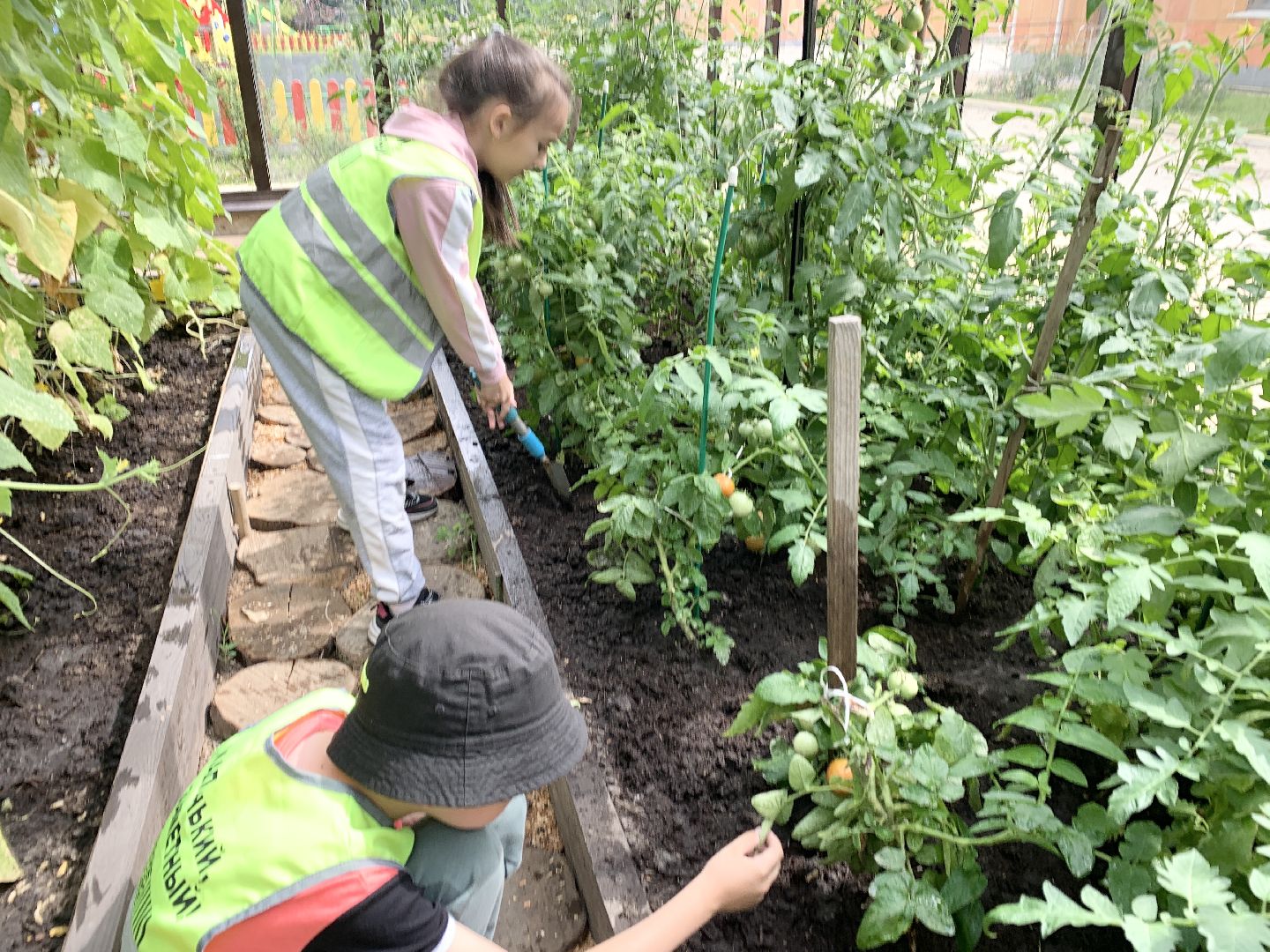 Балашиха, Подмосковье, Школьная теплица, оздоровительный лагерь, Умные каникулы,