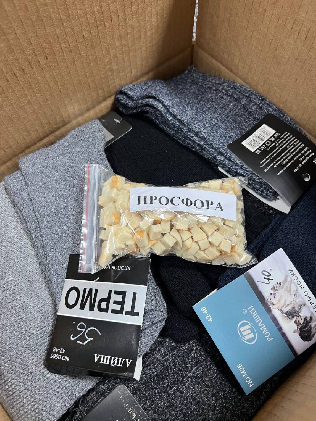 Можайск, общество