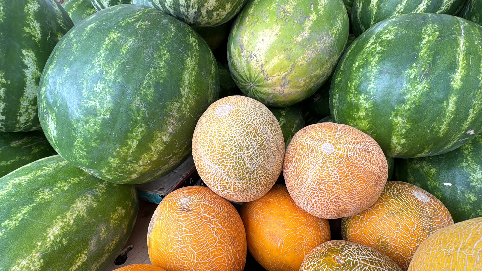 Сезон арбузов, Одинцовское подворье, астраханские арбузы,