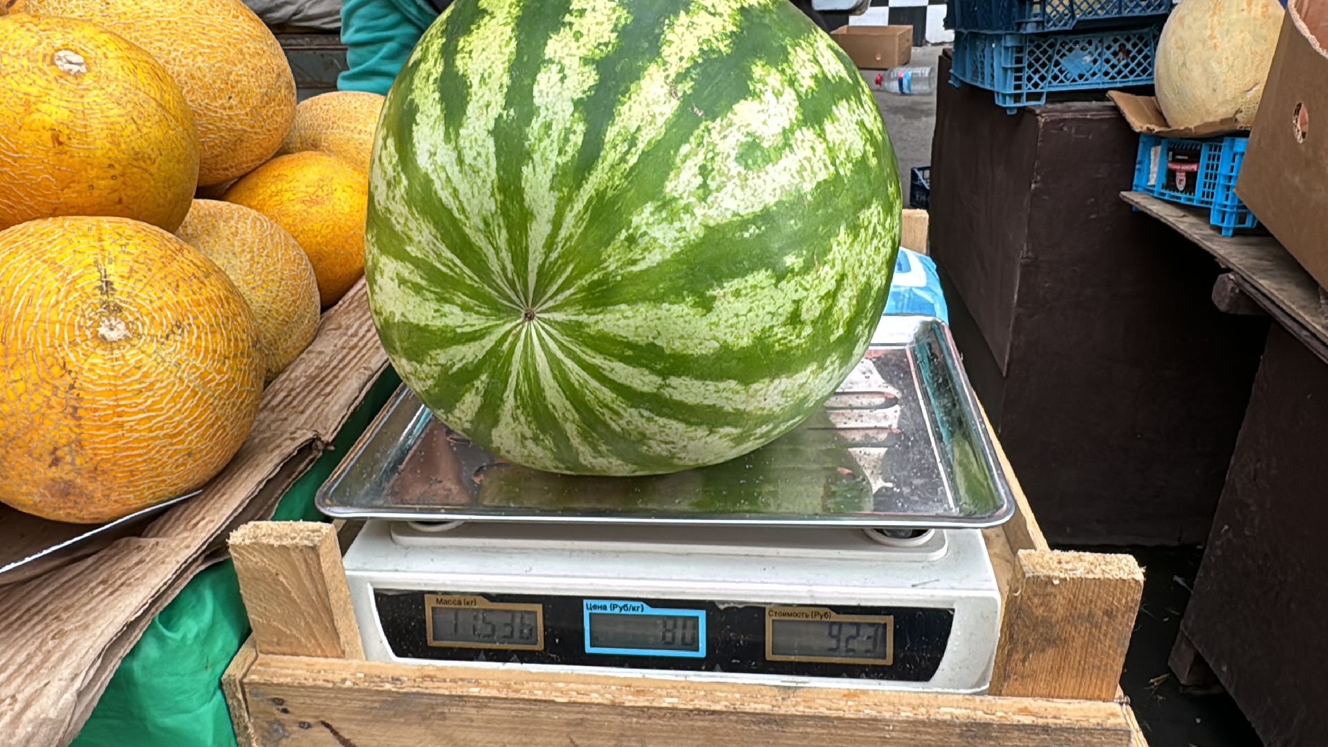 Сезон арбузов, Одинцовское подворье, астраханские арбузы,