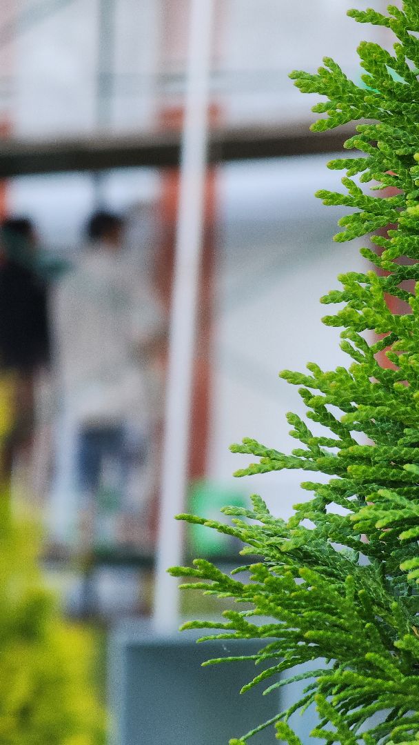 электросталь, мой город, капремонт, капремонт школы, благоустройство, благоустройство 2024,