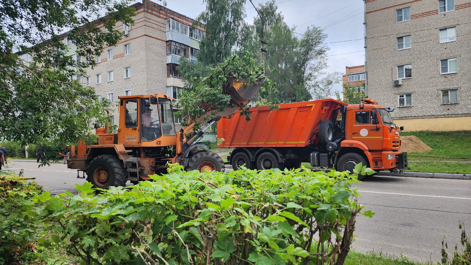 план добрых дел, благоуйстройство, Рошаль,Большая Шатура,